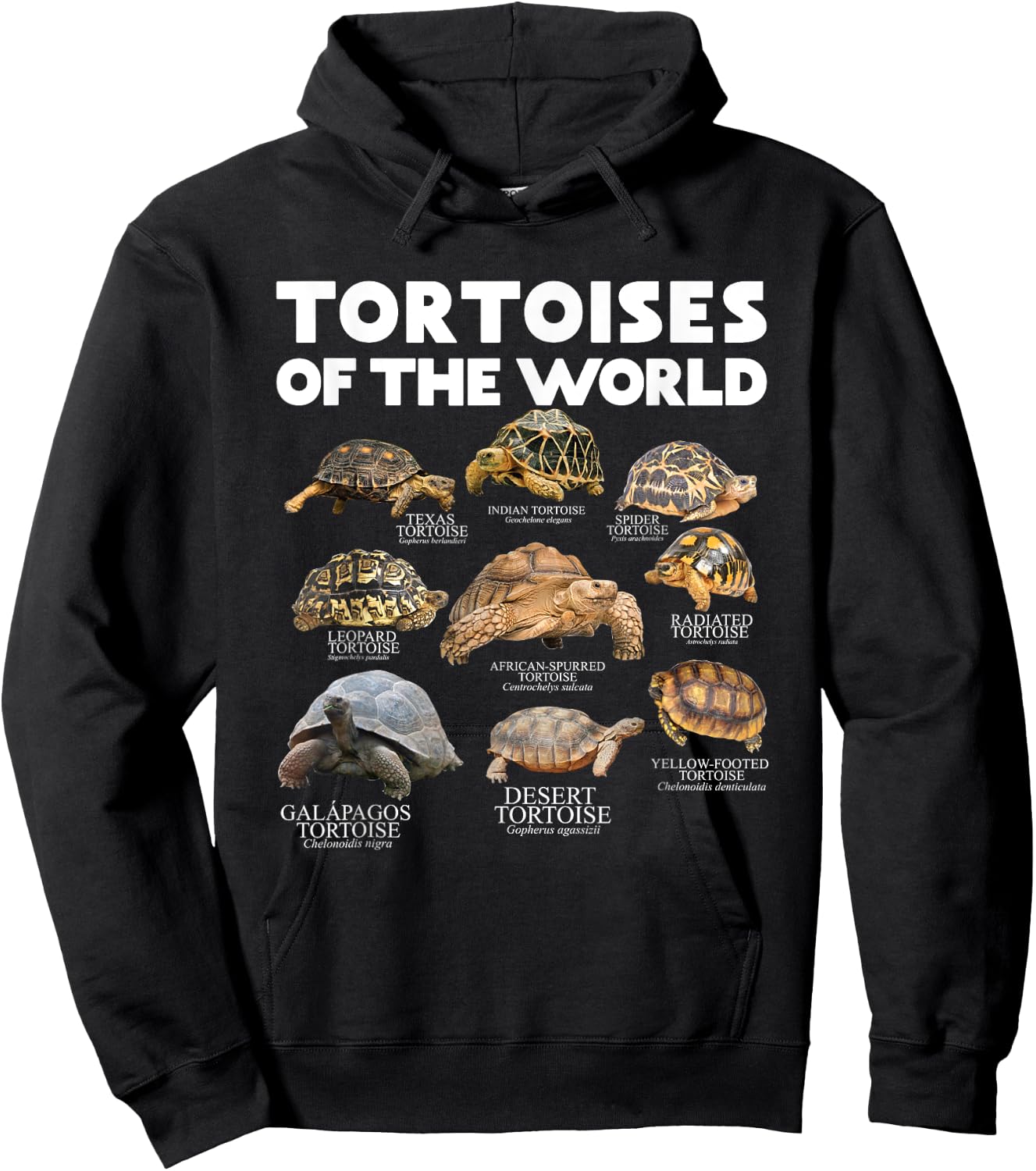 Tortoises Of The World Turtles Lover Save The Tortoises Hoodie - Hoodie | Black