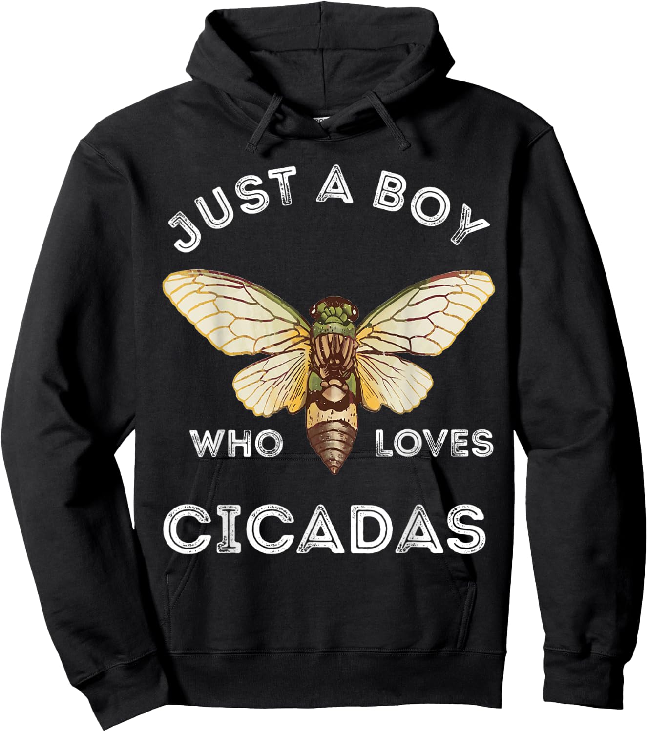 Just A Boy Who Loves Cicadas Insect Magicicada Bug Brood Hoodie - Hoodie | Black