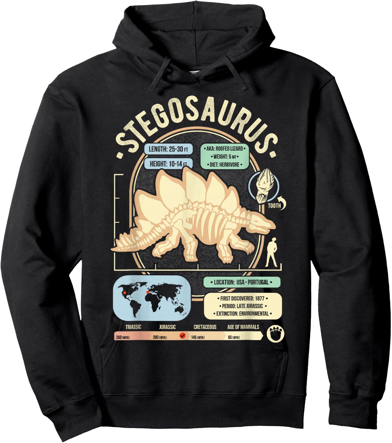 Dinosaur Facts - Stegosaurus Science & Anatomy Gift Hoodie - Hoodie | Black