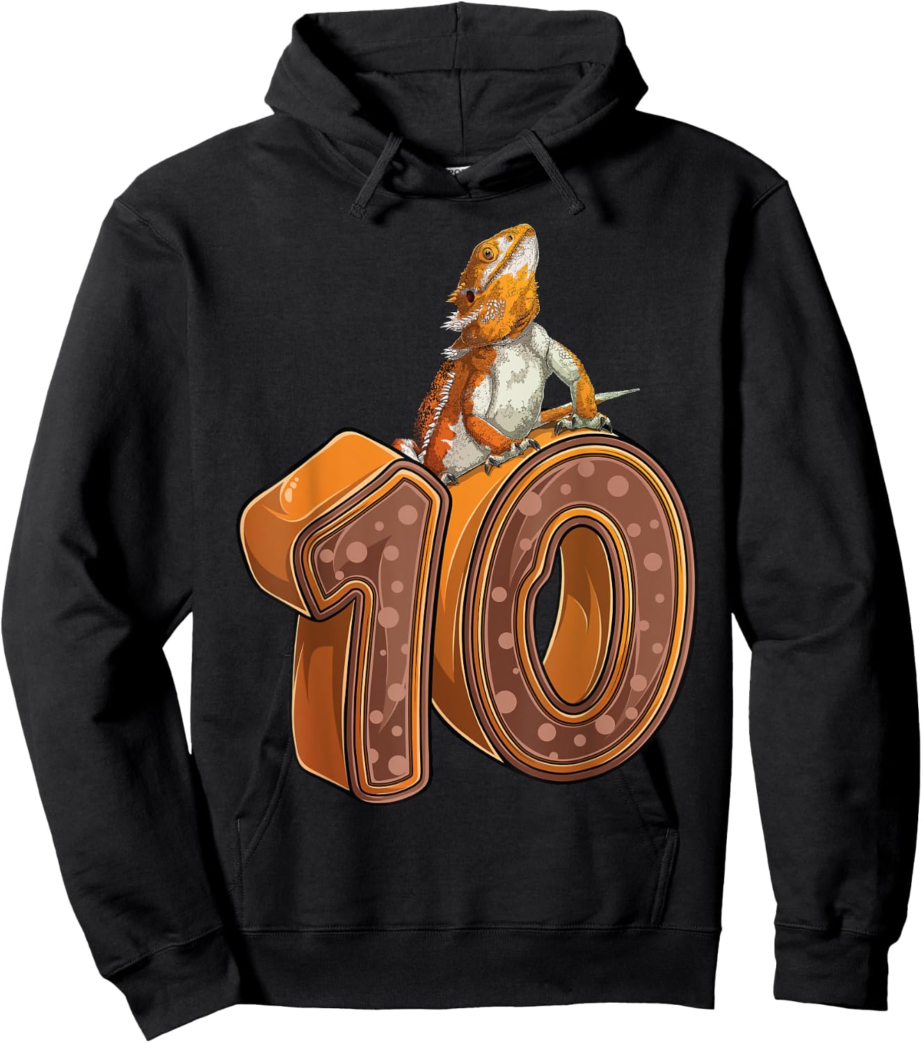 10 Year Old Bearded dragon Reptile 10th Birthday Party B-day Hoodie - Hoodie | Black