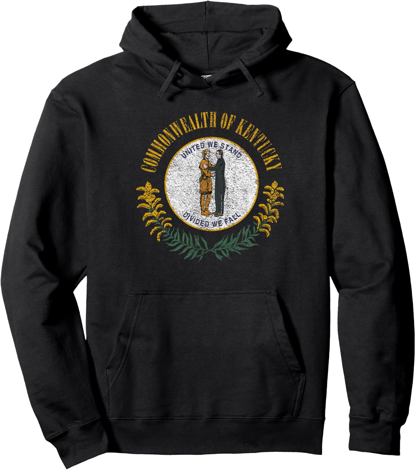 State of Kentucky Flag -- the Bluegrass State Hoodie - Hoodie | Black