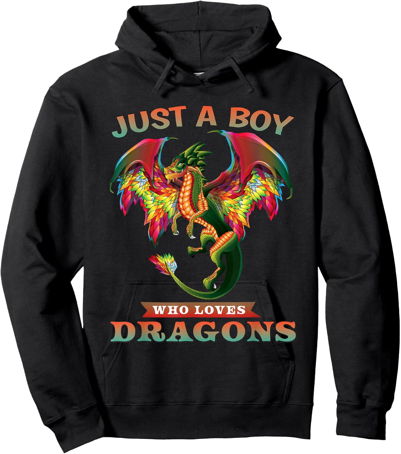 Just A Boy Who Loves Dragons Teen Boy Gifts Hoodie - Hoodie | Black