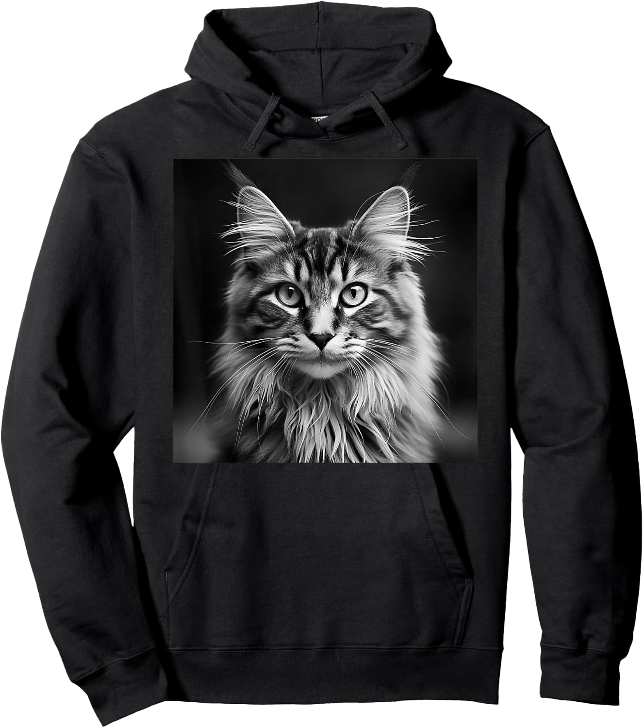 Maine Coon Cat Cinematic Black And White Photography Hoodie - Hoodie | Black