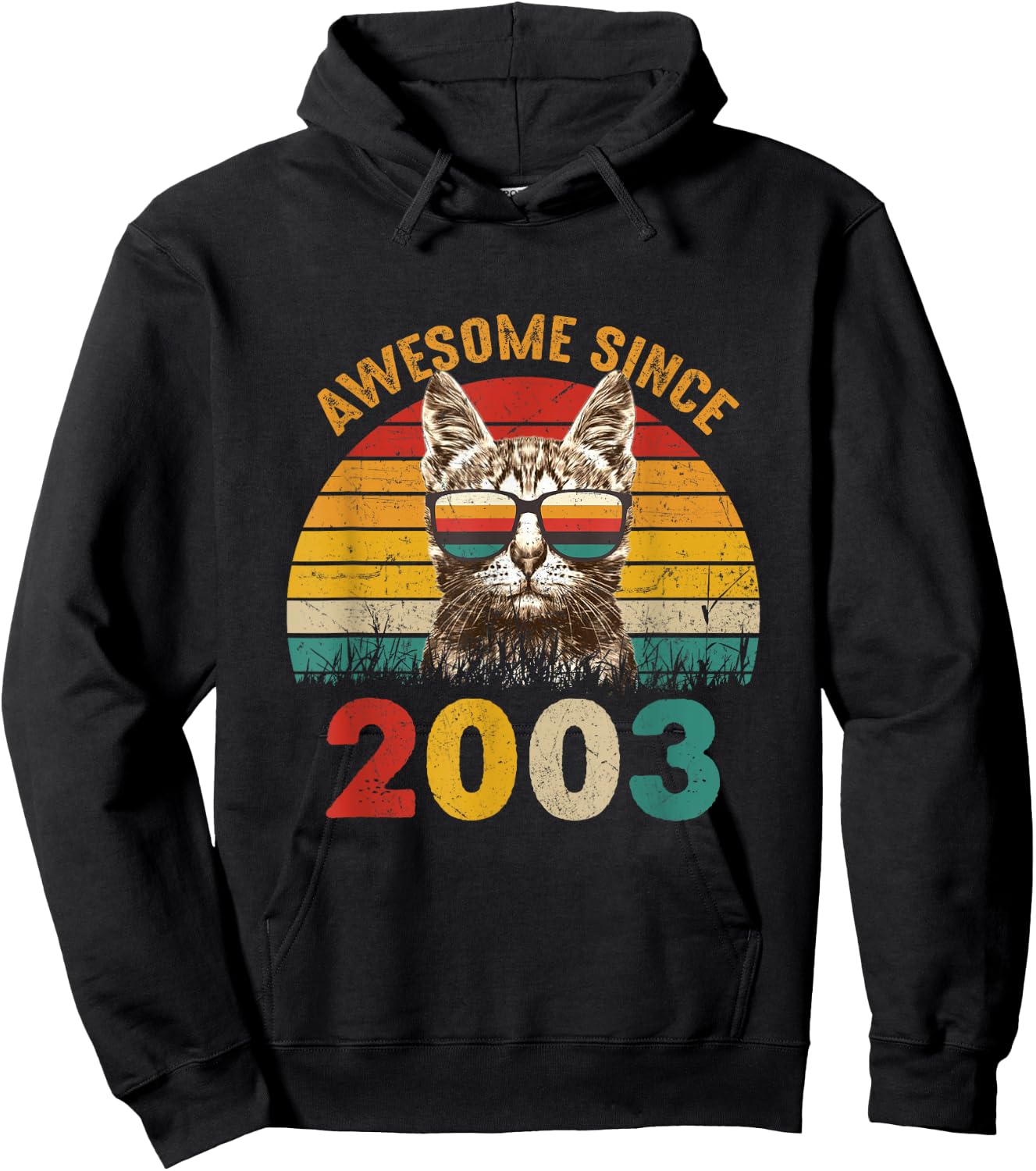 22nd Birthday Party 22 years old Cat Awesome Since 2003 Hoodie - Hoodie | Black