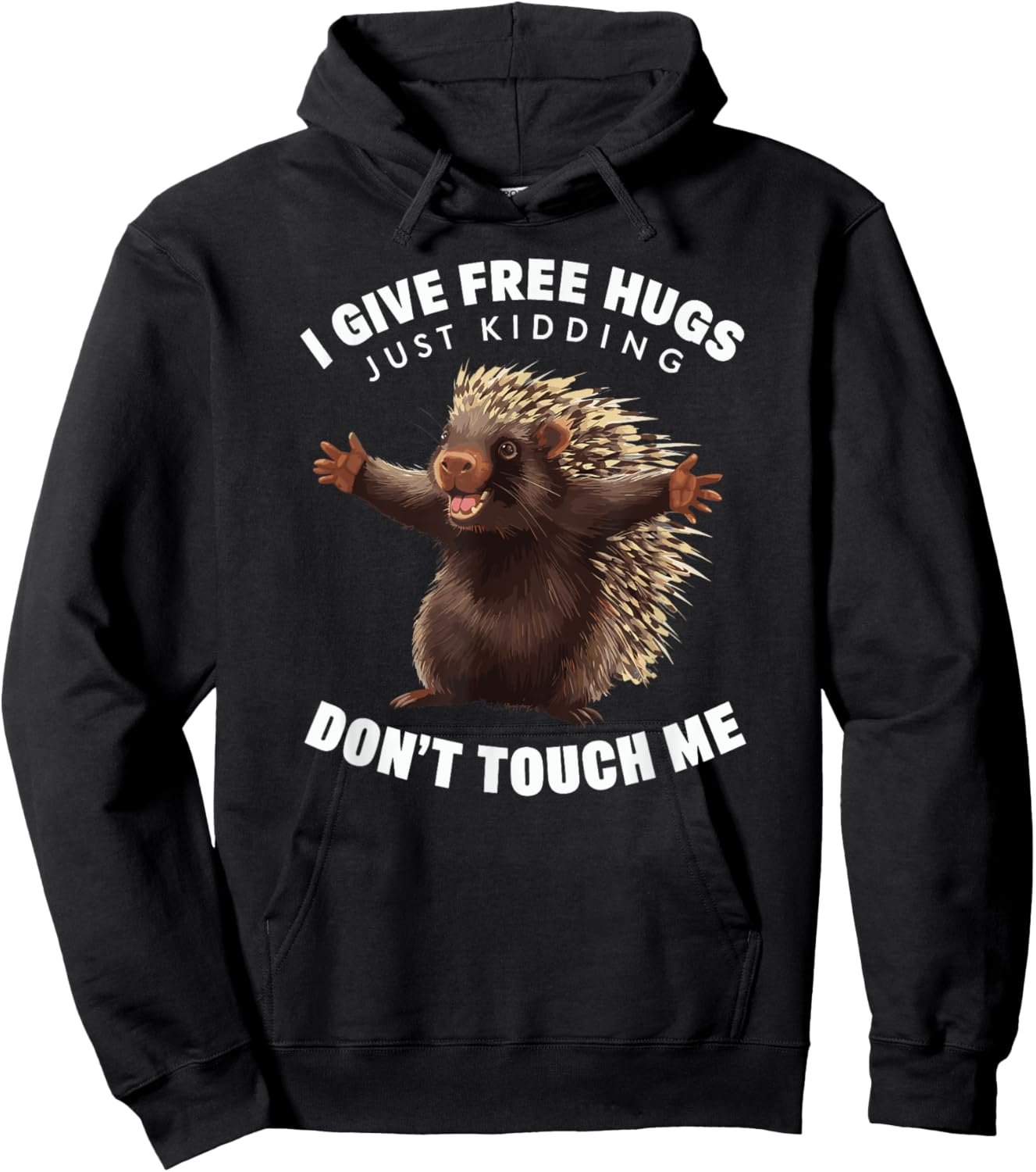 I Give Free Hugs Just Kidding Don't Touch Me Porcupine Hoodie - Hoodie | Black