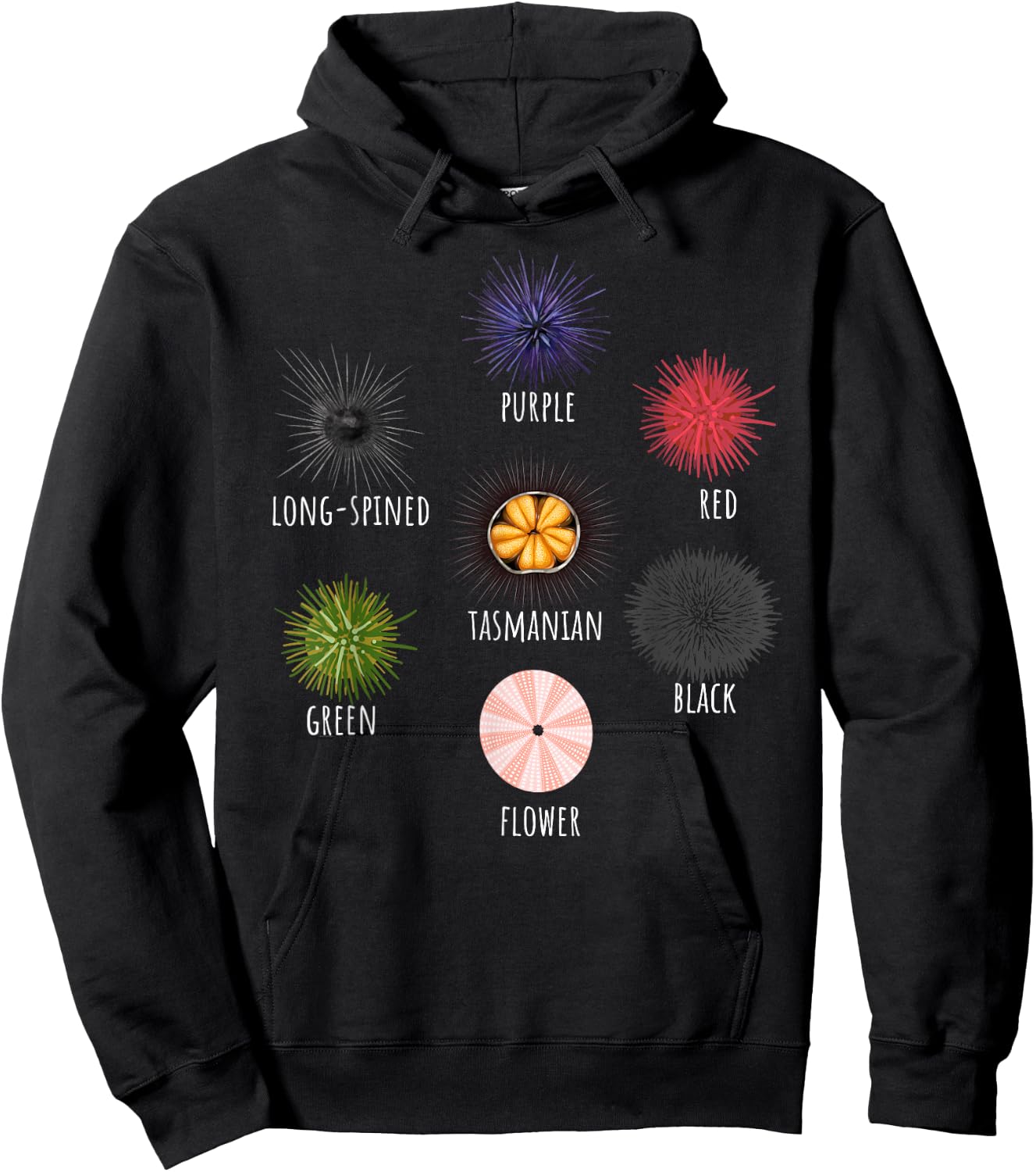 Type Of Sea Urchin Variants Sea Shell Beach Ocean Lovers Hoodie - Hoodie | Black