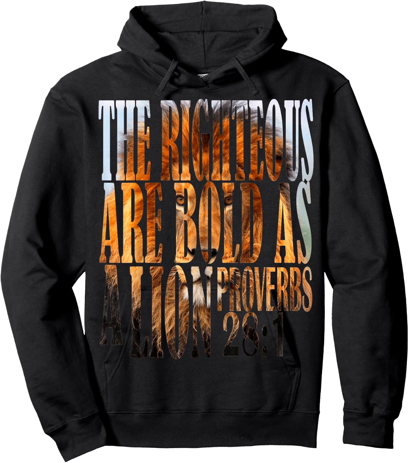 The Righteous Are Bold As A Lion Proverbs 28:1 Bible Verse Hoodie - Hoodie | Black