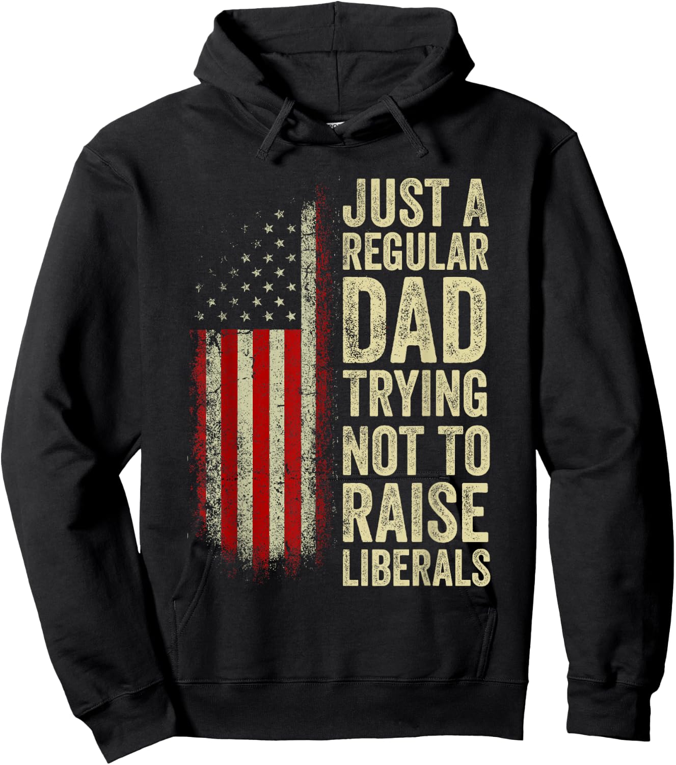 Just A Regular Dad Trying Not To Raise Liberals Father's Day Hoodie - Hoodie | Black