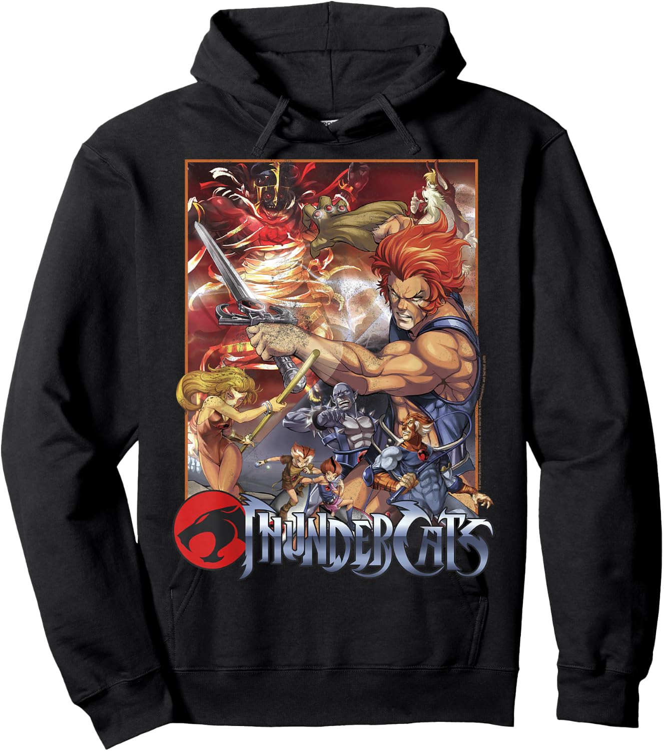 ThunderCats Adult Vintage , Black, Short Sleeve, Small Hoodie - Hoodie | Black