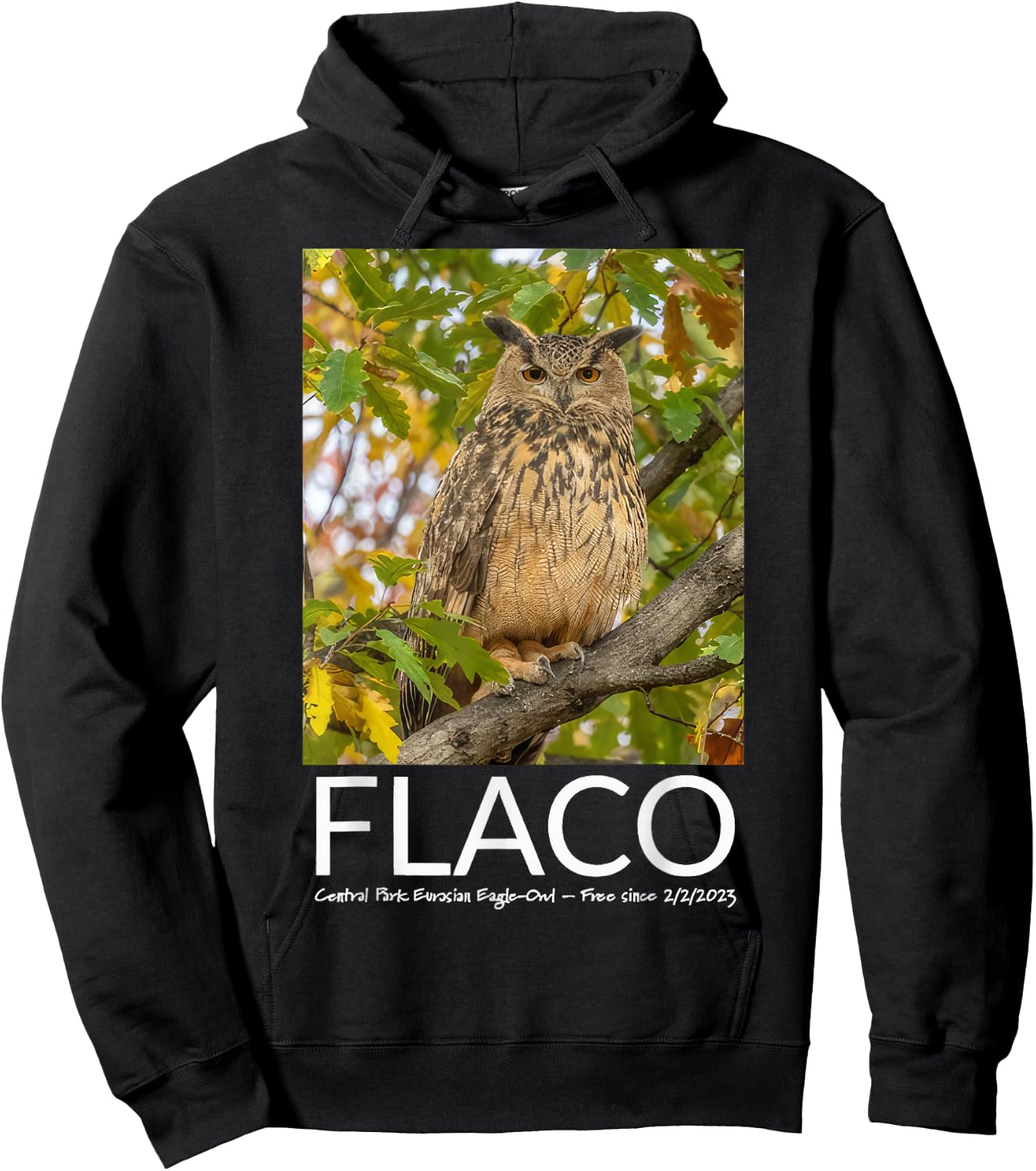 Flaco the Owl Escaped Owl Hoodie - Hoodie | Black