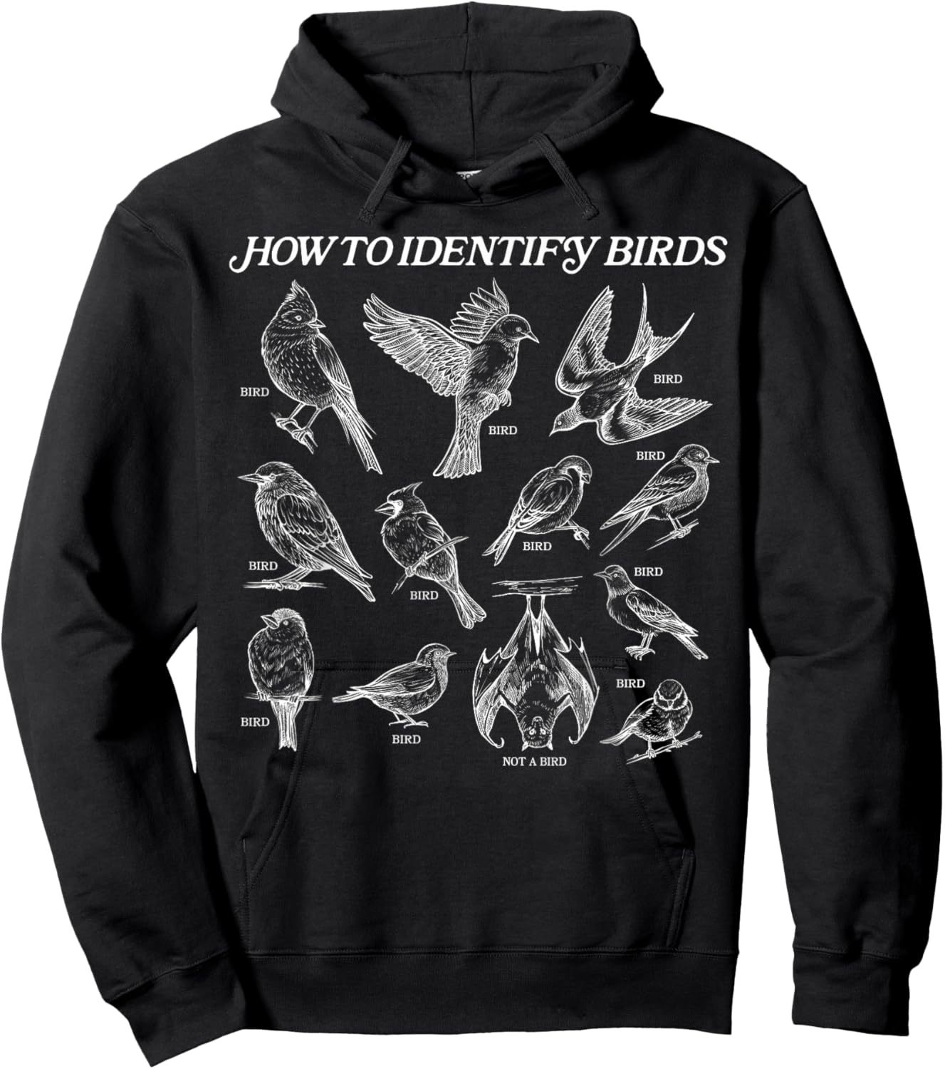 How To Identify Birds Hoodie - Hoodie | Black