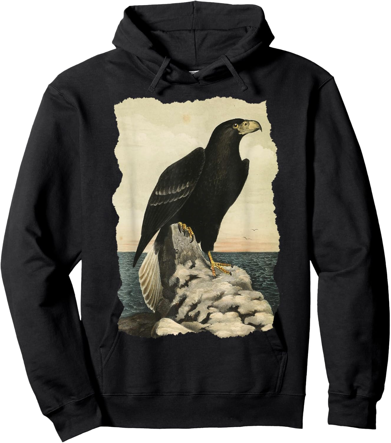 Northen Steller's Sea Eagle - Bird of Prey - Raptor Seascape Hoodie - Hoodie | Black