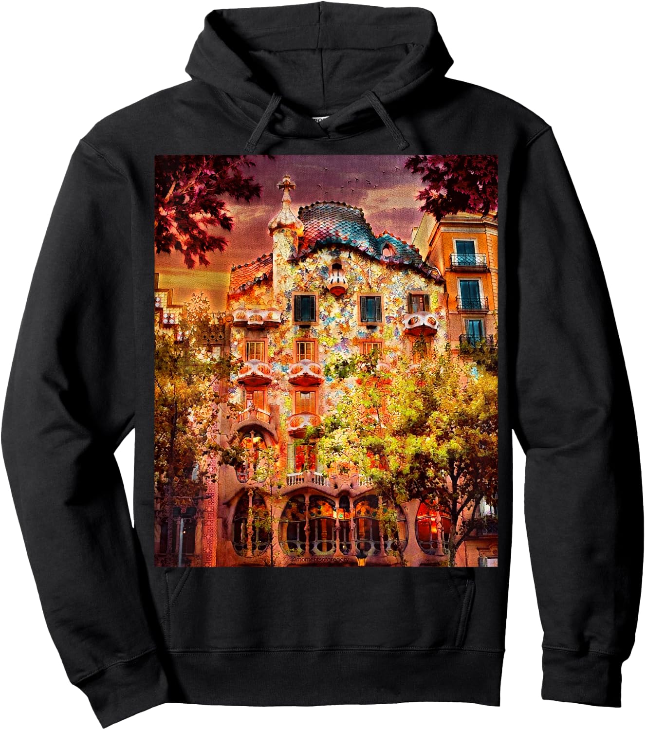 Casa Battlo - Barcelona, Spain Hoodie - Hoodie | Black