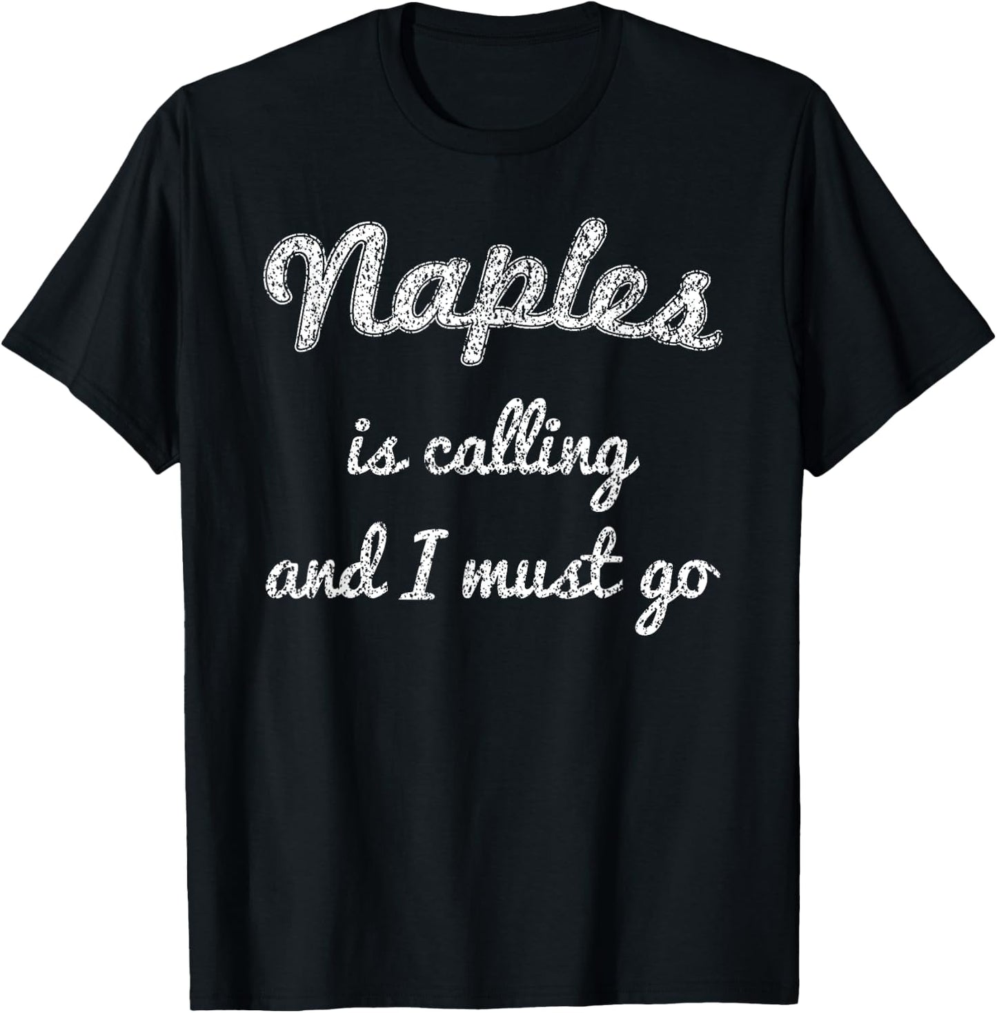 NAPLES FL FLORIDA Funny City Trip Home Roots USA Gift T-Shirt - T-Shirt | Black