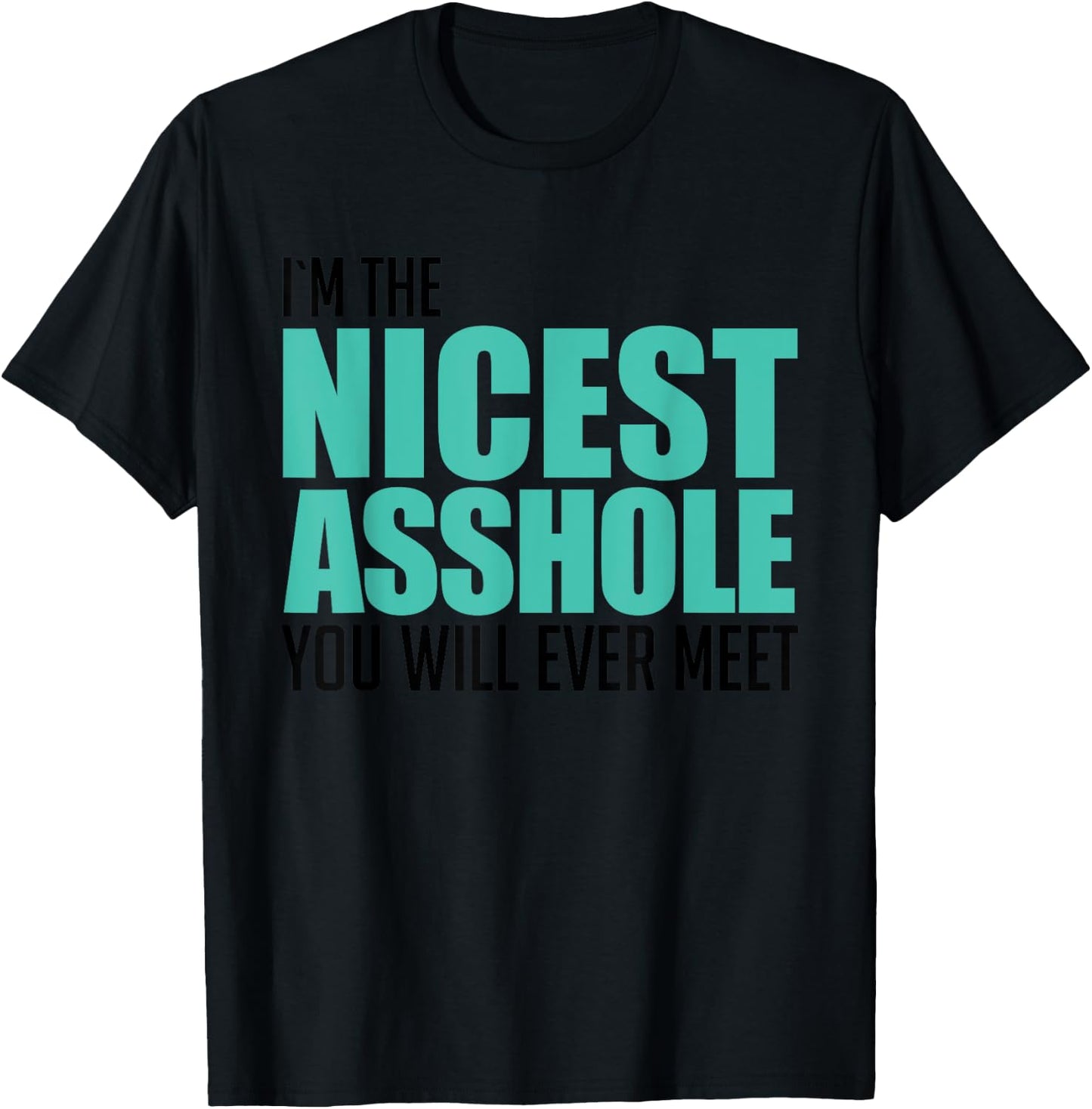 I'm The Nicest Asshole You'll Ever Meet Sarcastic Gift T-Shirt - T-Shirt | Black