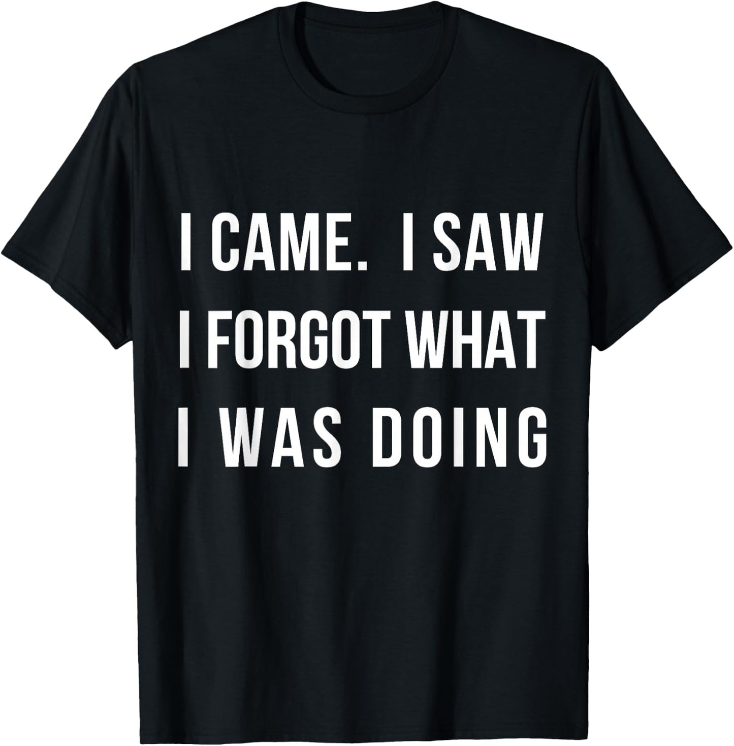 I Came I Saw I Forgot What I was Doing Sarcastic Small T-Shirt - T-Shirt | Black