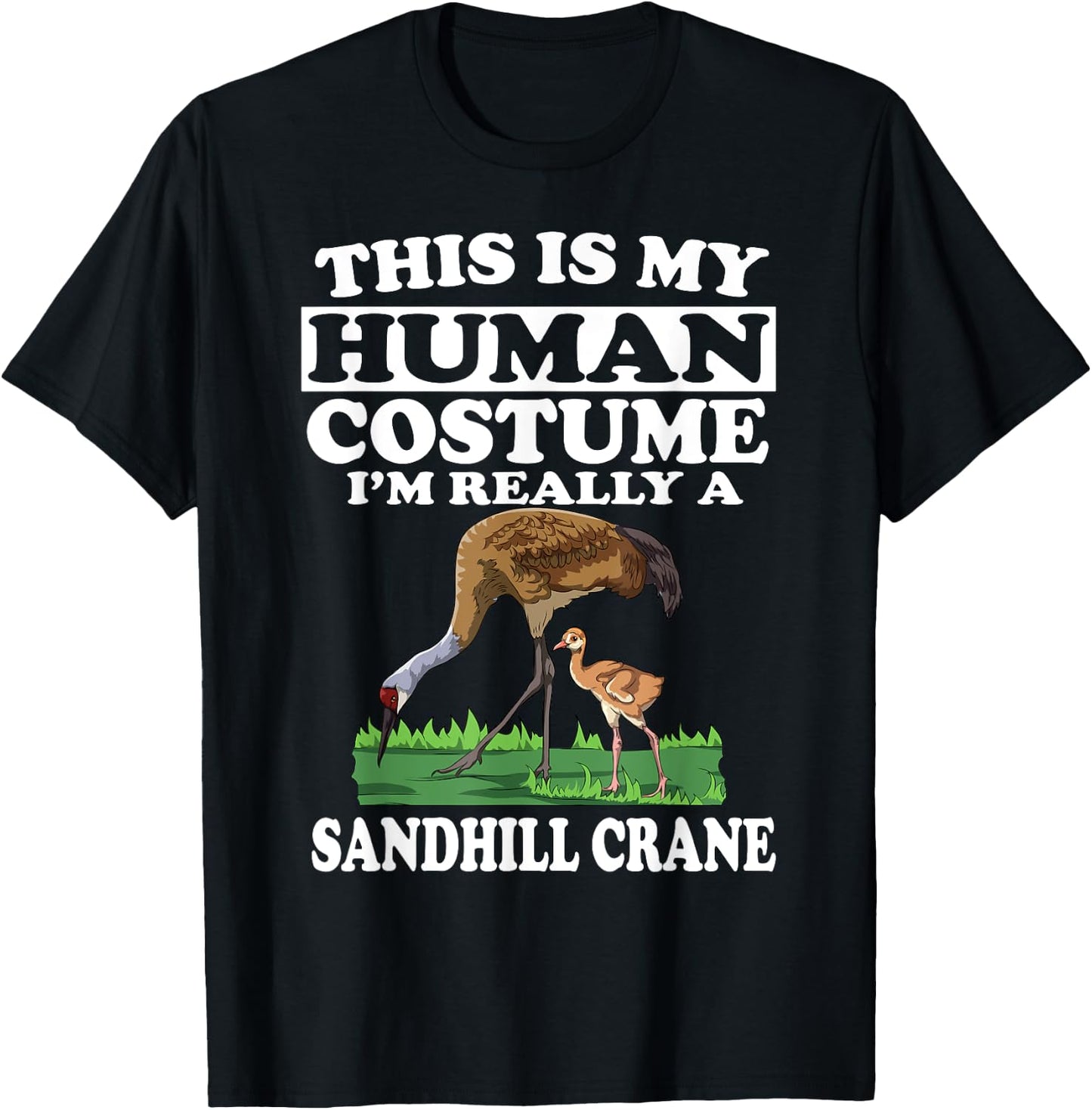This Is My Human Costume I'm Really A Sandhill Crane Birding T-Shirt - T-Shirt | Black