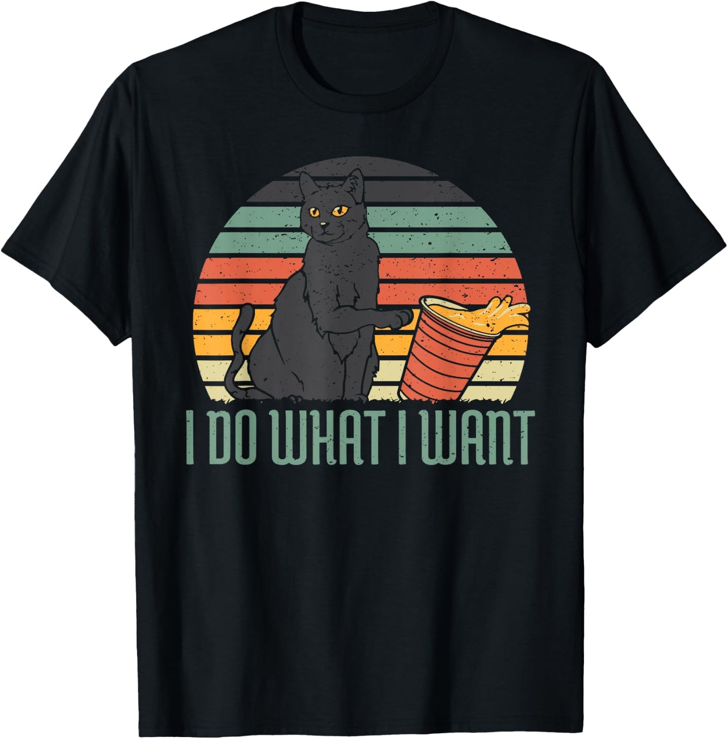 I Do What I Want Funny Cat Gift T-Shirt - T-Shirt | Black