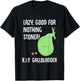 Funny Gallbladder Removal Gift Stone Saying Gallstone Joke T-Shirt - T-Shirt | Black