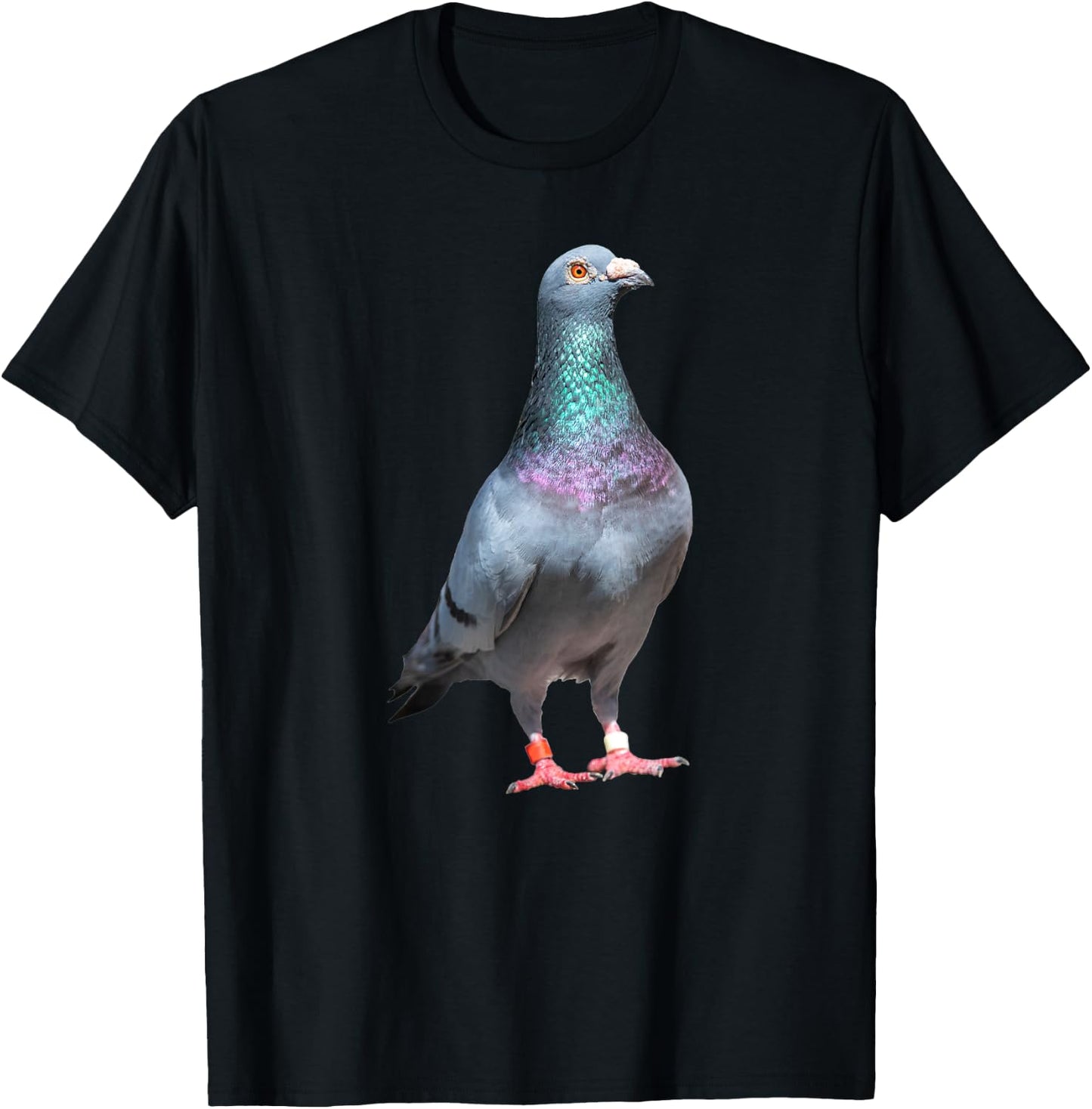 Homing Pigeon T-Shirt - T-Shirt | Black