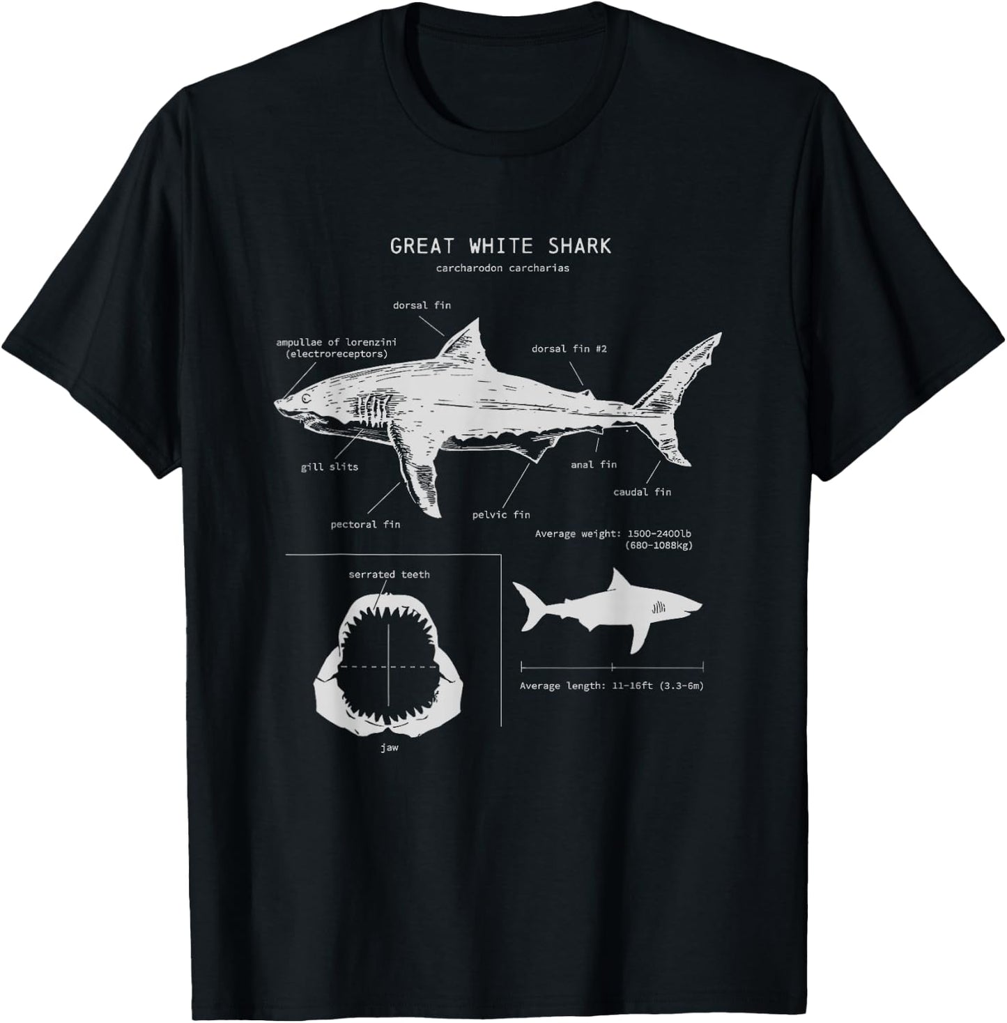 Great White Shark Anatomy , Marine Biologist T-Shirt - T-Shirt | Black