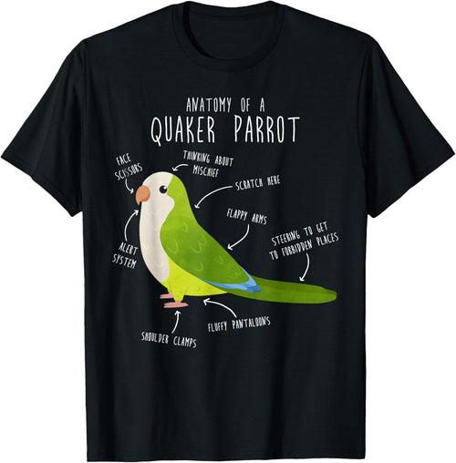 Green Quaker Parrot Anatomy, Cute Funny Pet Monk Bird Lover