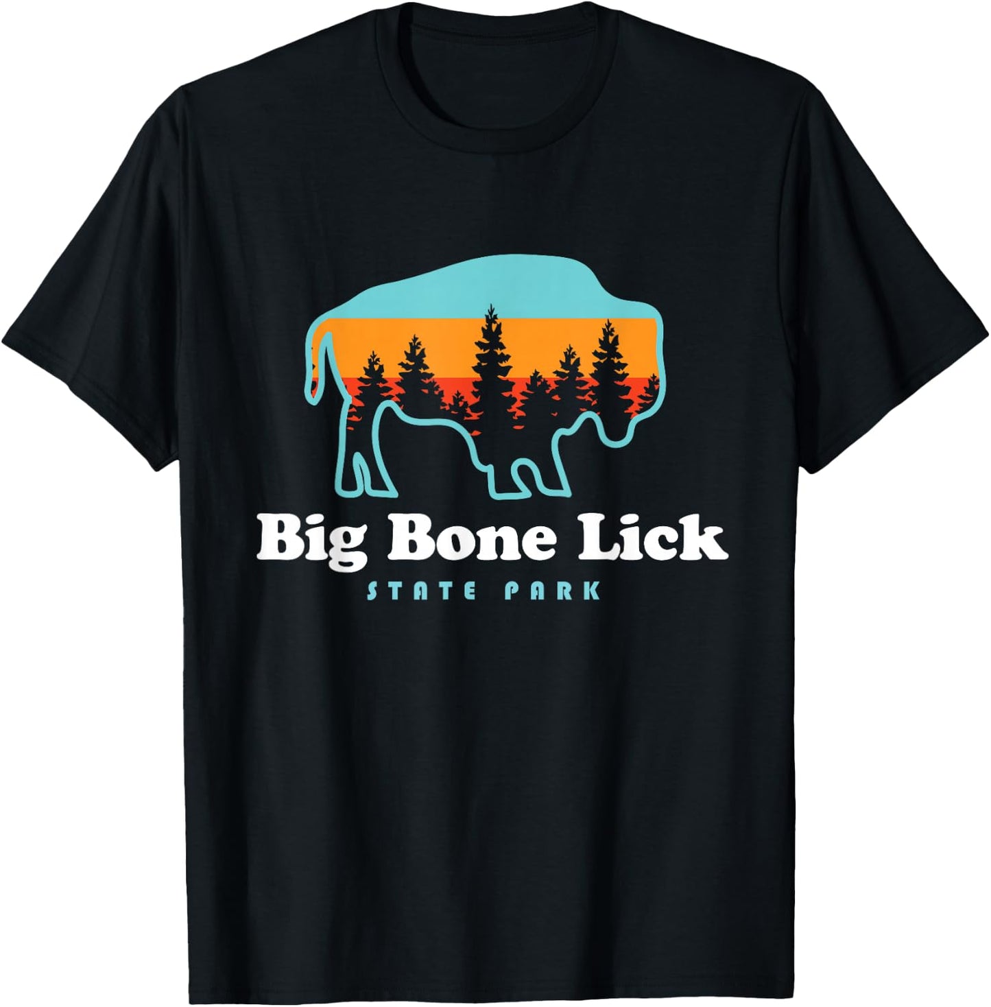 Big Bone Lick State Park Kentucky Bison Fossils T-Shirt - T-Shirt | Black