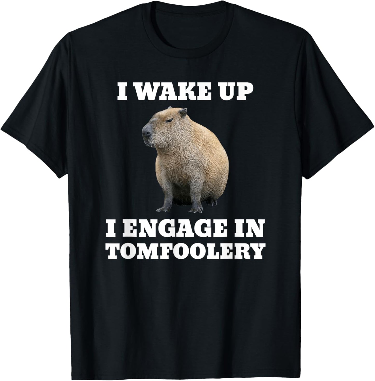 I Wake Up I Engage In Tomfoolery Meme Capybara T-Shirt - T-Shirt | Black