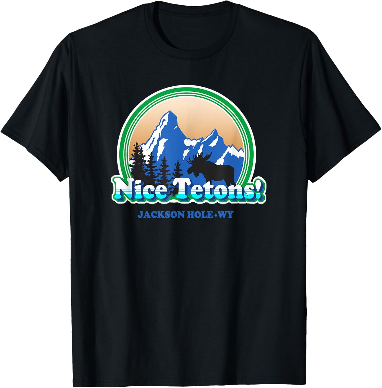 Tetons retro vintage Jackson Hole Wyoming Funny T-Shirt - T-Shirt | Black