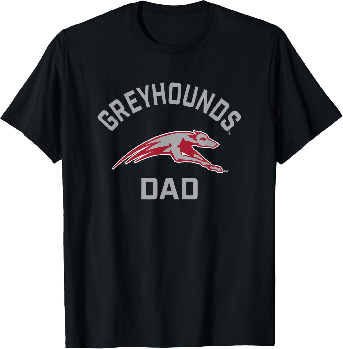University of Indianapolis UIndy Greyhounds Arched Dad T-Shirt - T-Shirt | Black