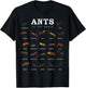 Ants Of The World Shirt Funny Ant Keeper T-Shirt - T-Shirt | Black