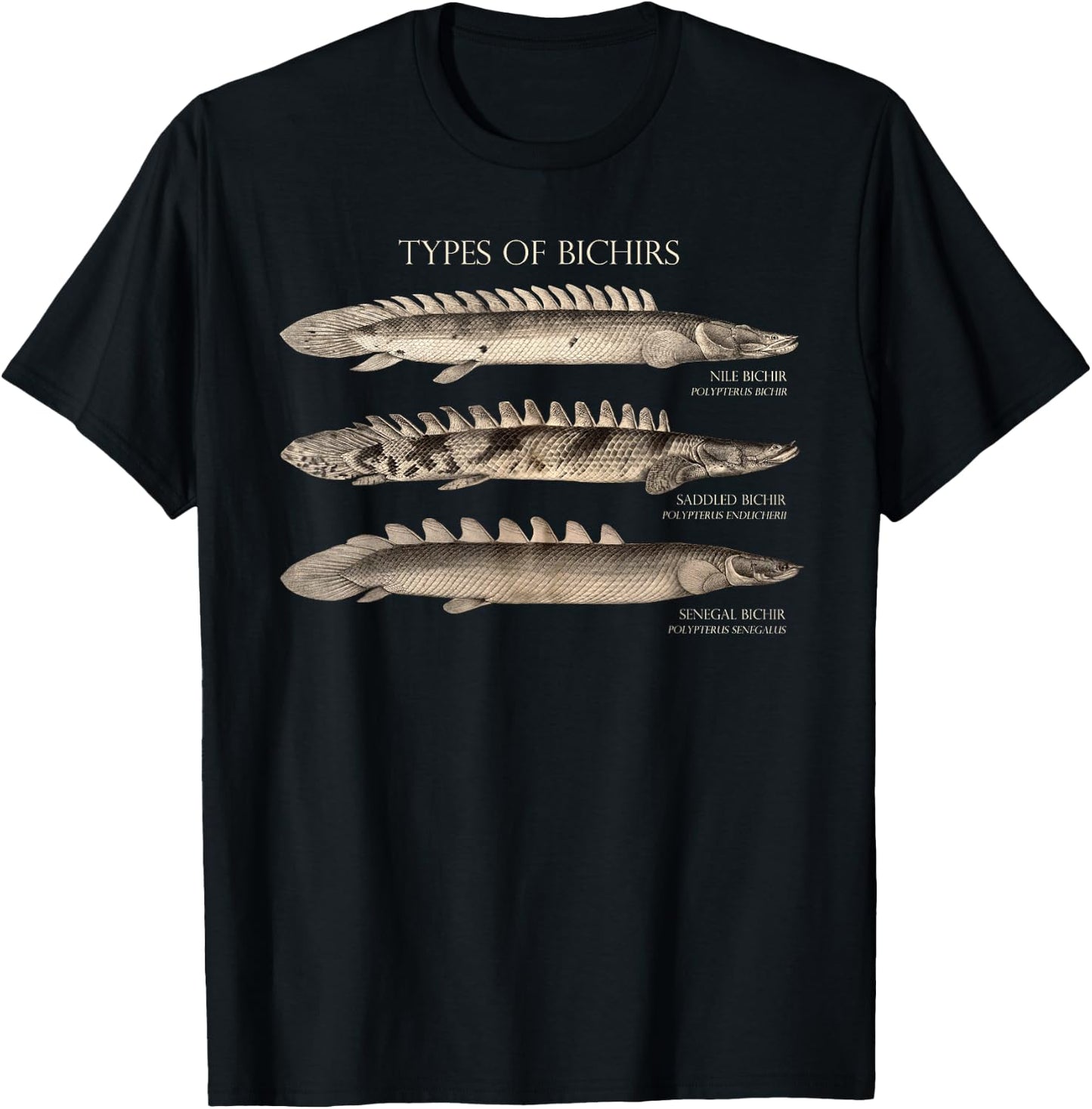 Bichir Types Aquarium Fish Monster Fish Keeper Aquarist T-Shirt - T-Shirt | Black