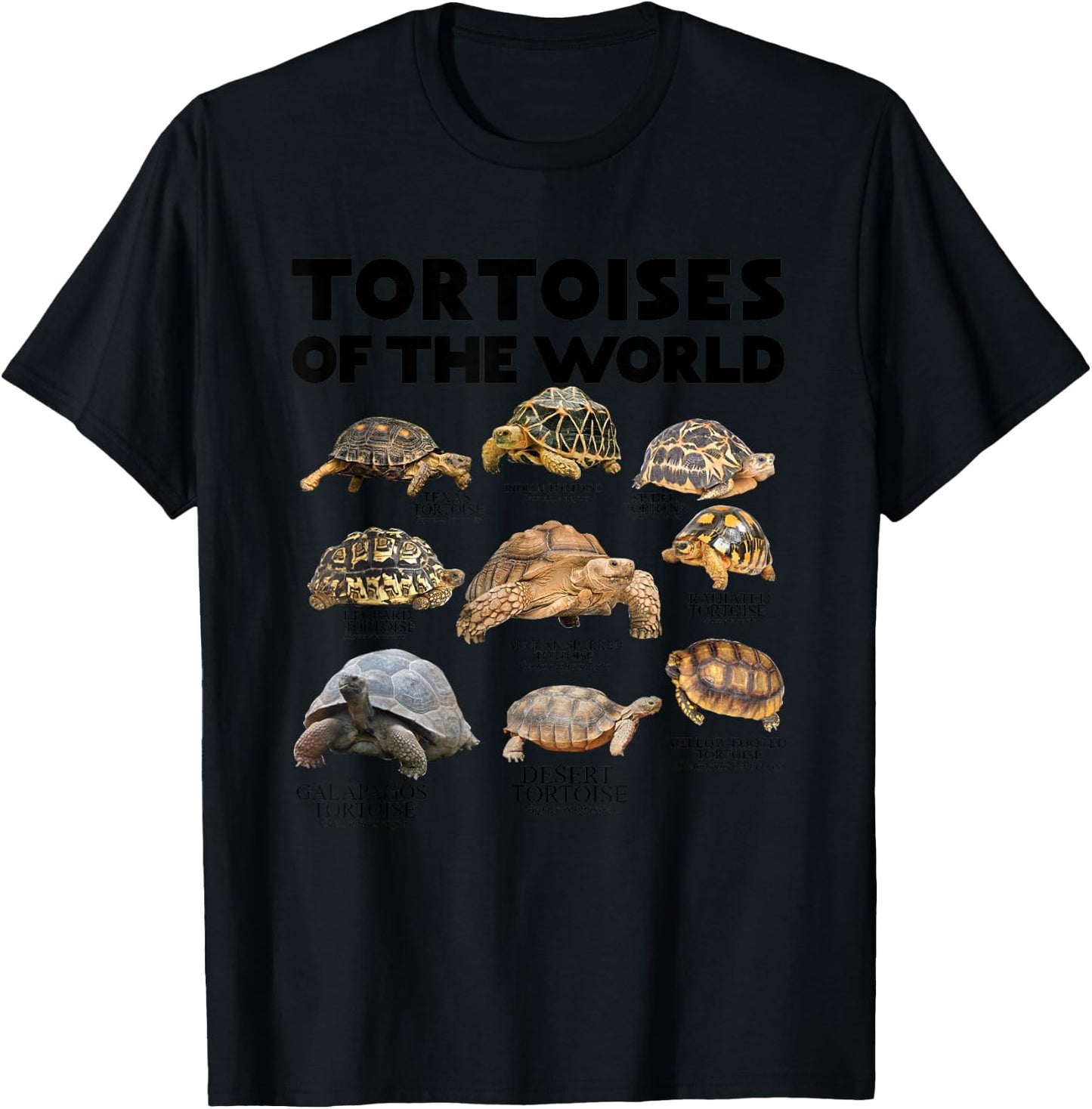 Tortoises of The World Turtles Lover Save The Tortoises T-Shirt - T-Shirt | Black