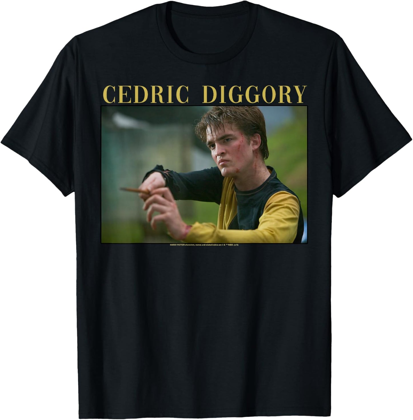 Harry Potter Official Black Adult - Short Sleeve - Small - Crew Collar - Letter Print - Modern Style - Casual Wear - All Seasons - Portrait Theme T-Shirt - T-Shirt | Black