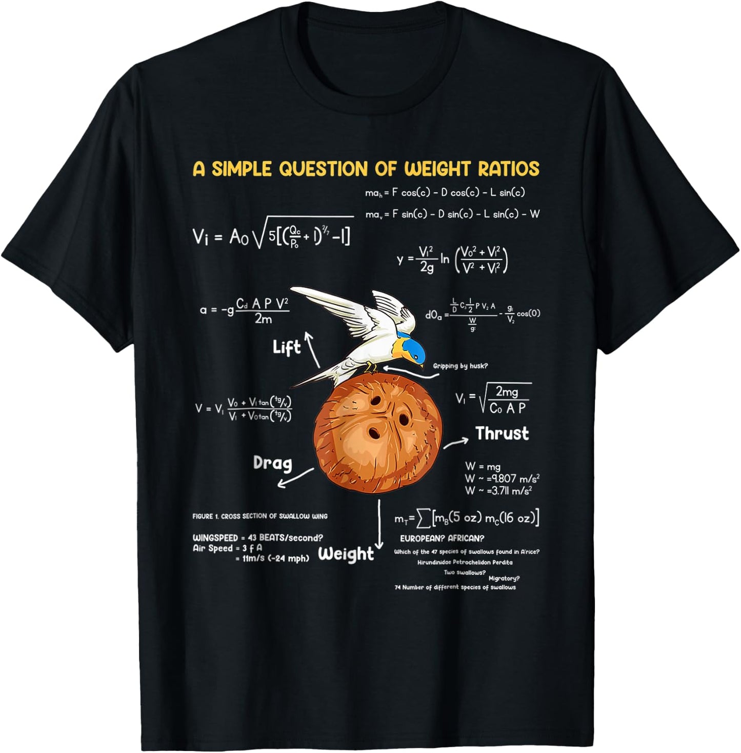 A Simple Question Of Weight Ratios Funny Math Teacher T-Shirt - T-Shirt | Black