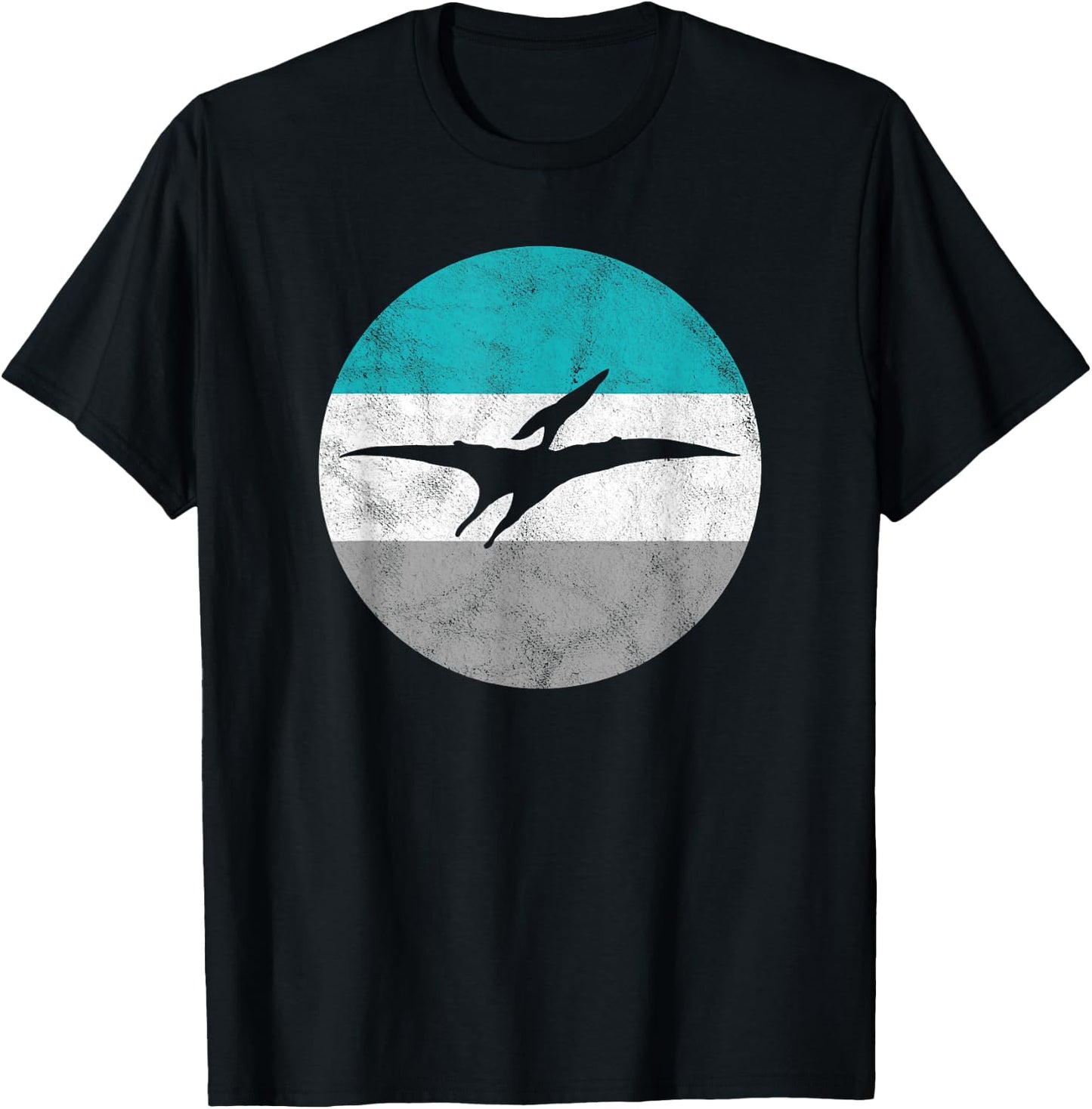 Pterodactyl Retro Dinosaur Gift or Boys T-Shirt - T-Shirt | Black
