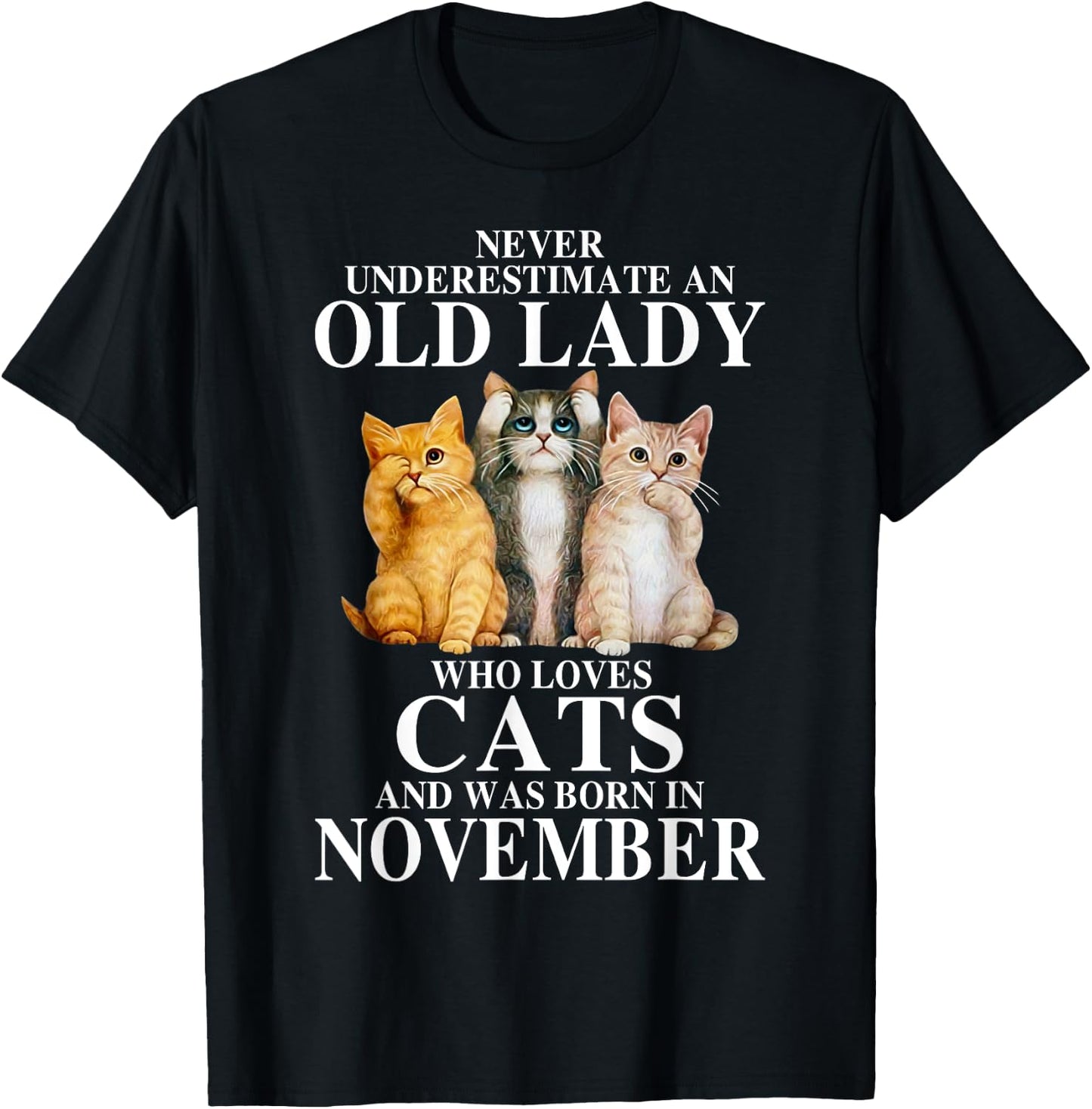 Never underestimate an old lady who loves cats born NOVEMBER T-Shirt - T-Shirt | Black