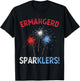 Ermahgerd Sperklers Funny 4th of July Fireworks Sparklers T-Shirt - T-Shirt | Black