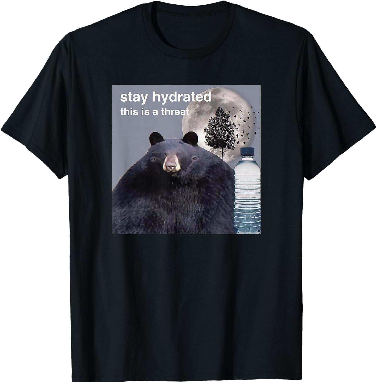 Stay Hydrated This Is A Threat Meme T-Shirt - T-Shirt | Black