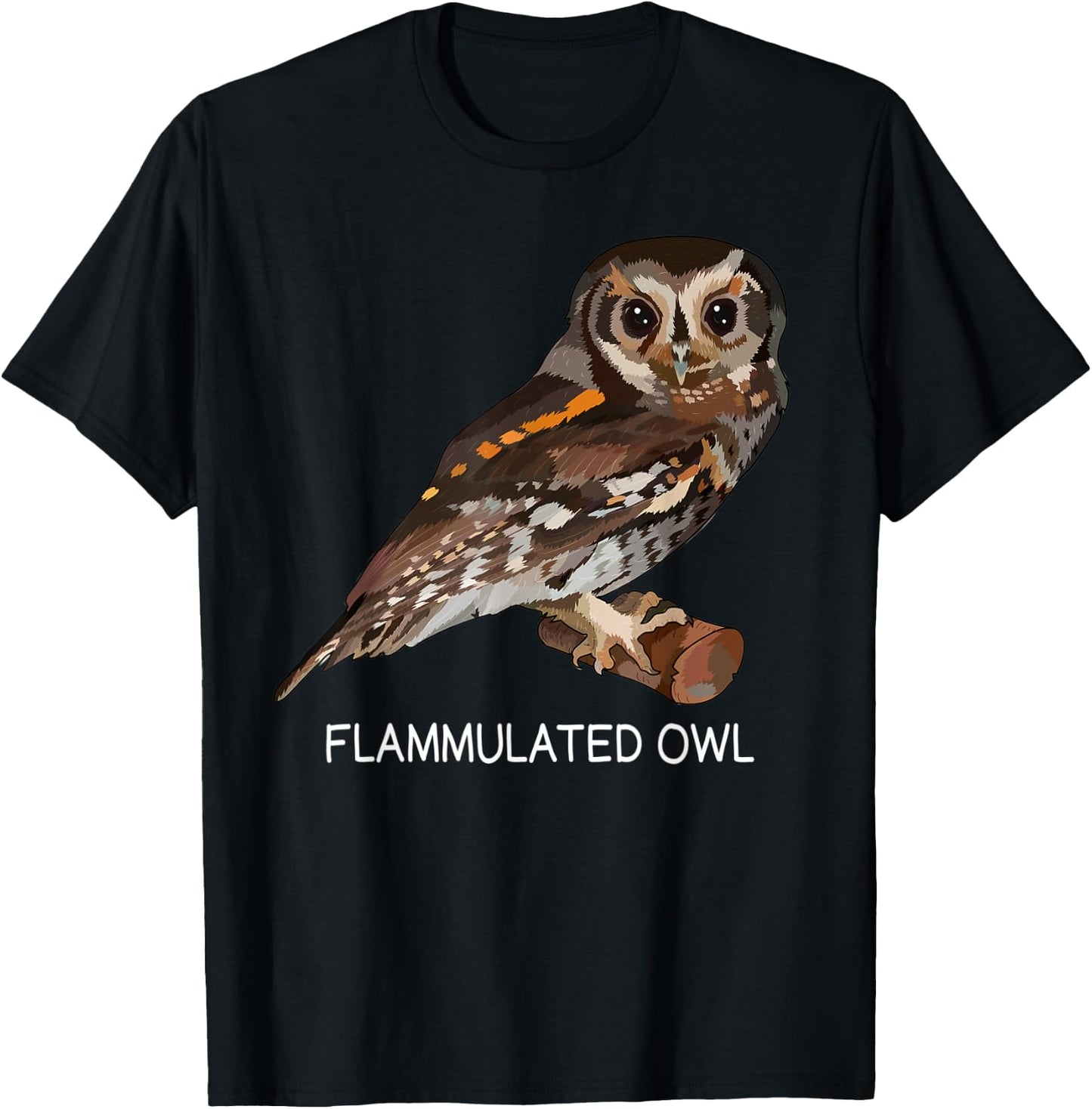 Flammulated Owl Bird Lover T-Shirt - T-Shirt | Black
