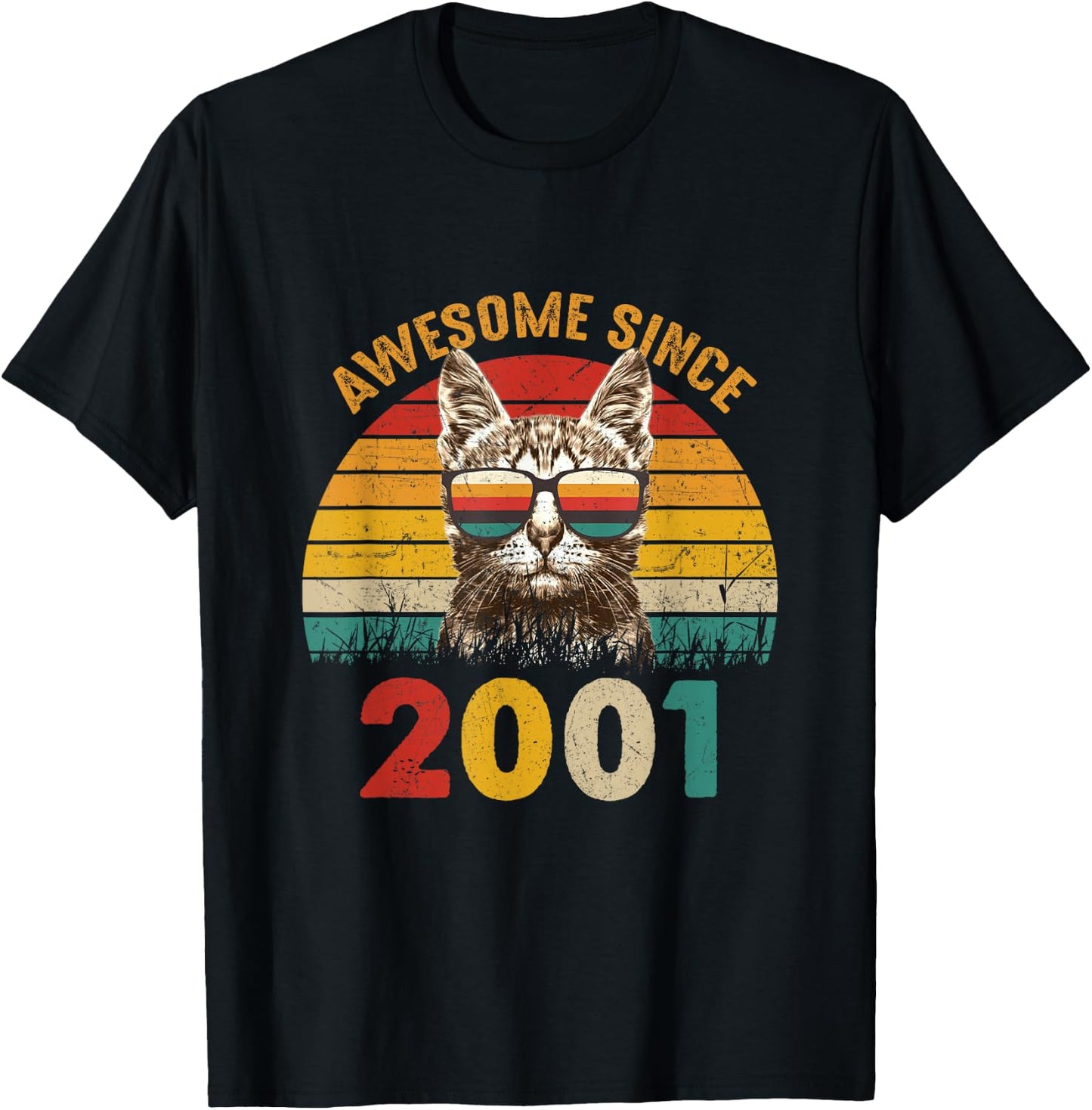 24th Birthday Vintage Cat Lover Gift Awesome Since 2001 Women T-Shirt - T-Shirt | Black