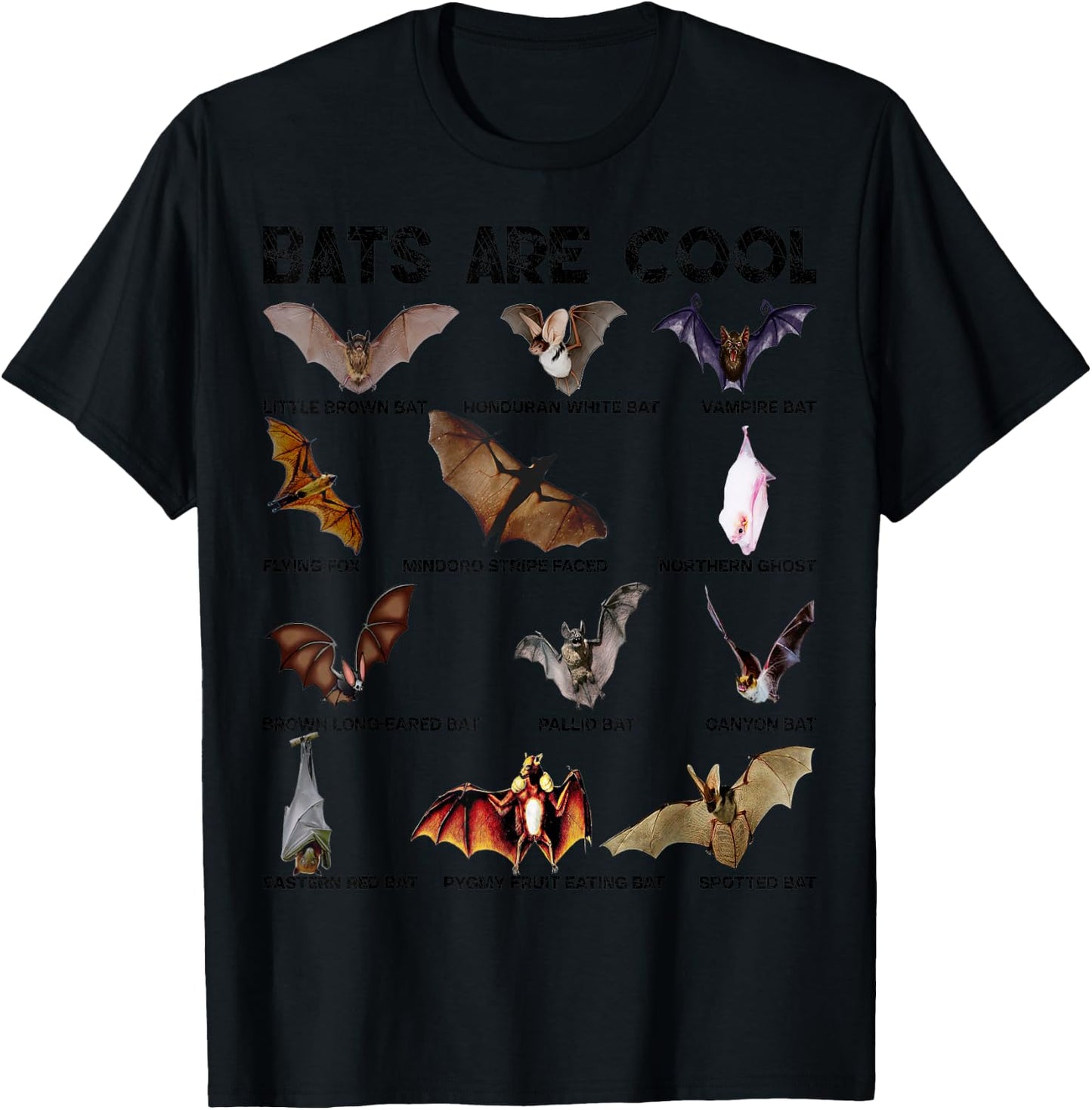 Bats are cool Great Lovely Bat kinds shirts women T-Shirt - T-Shirt | Black