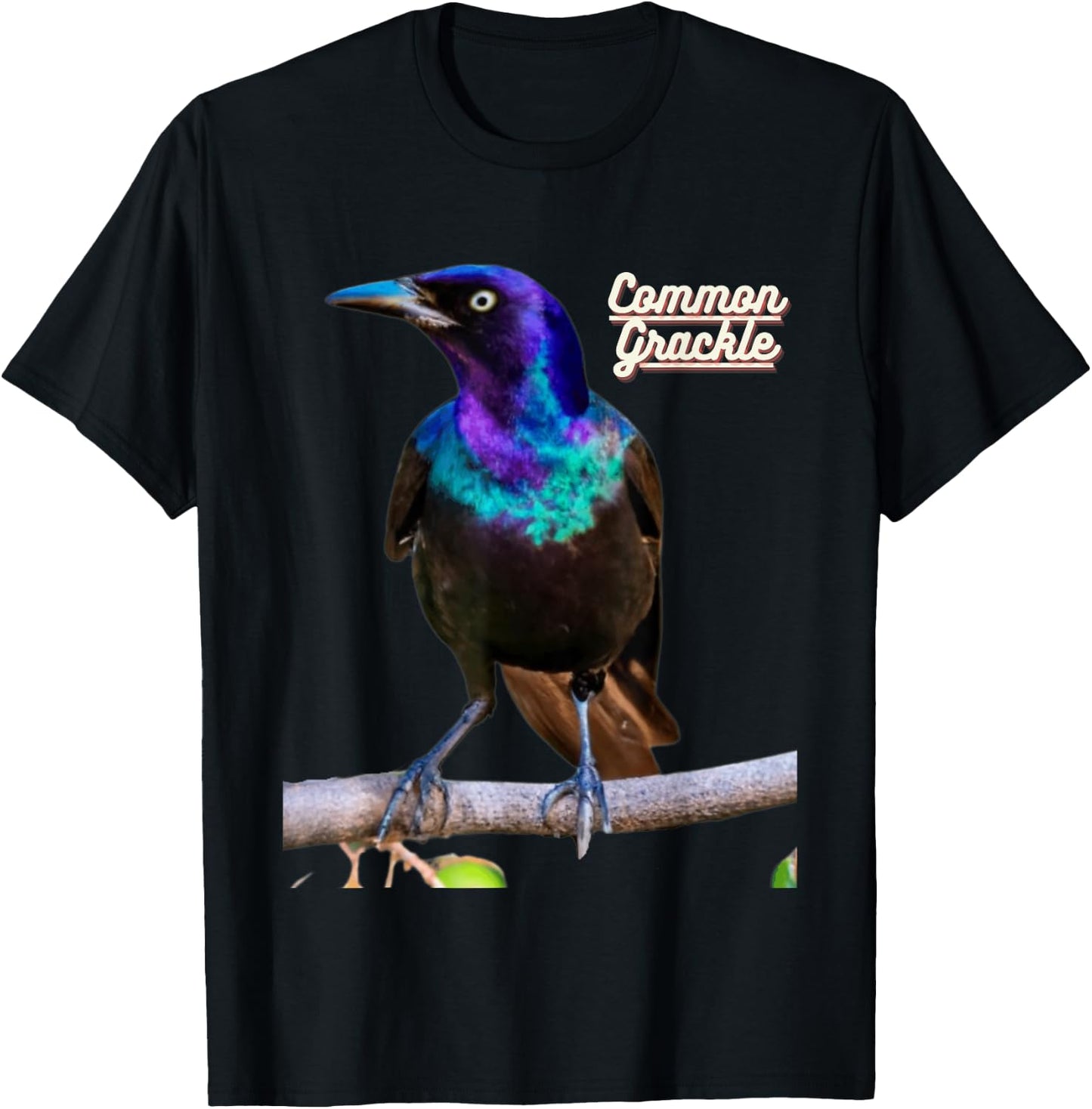 Common Grackle Bird Watchers Bird Lovers T-Shirt - T-Shirt | Black