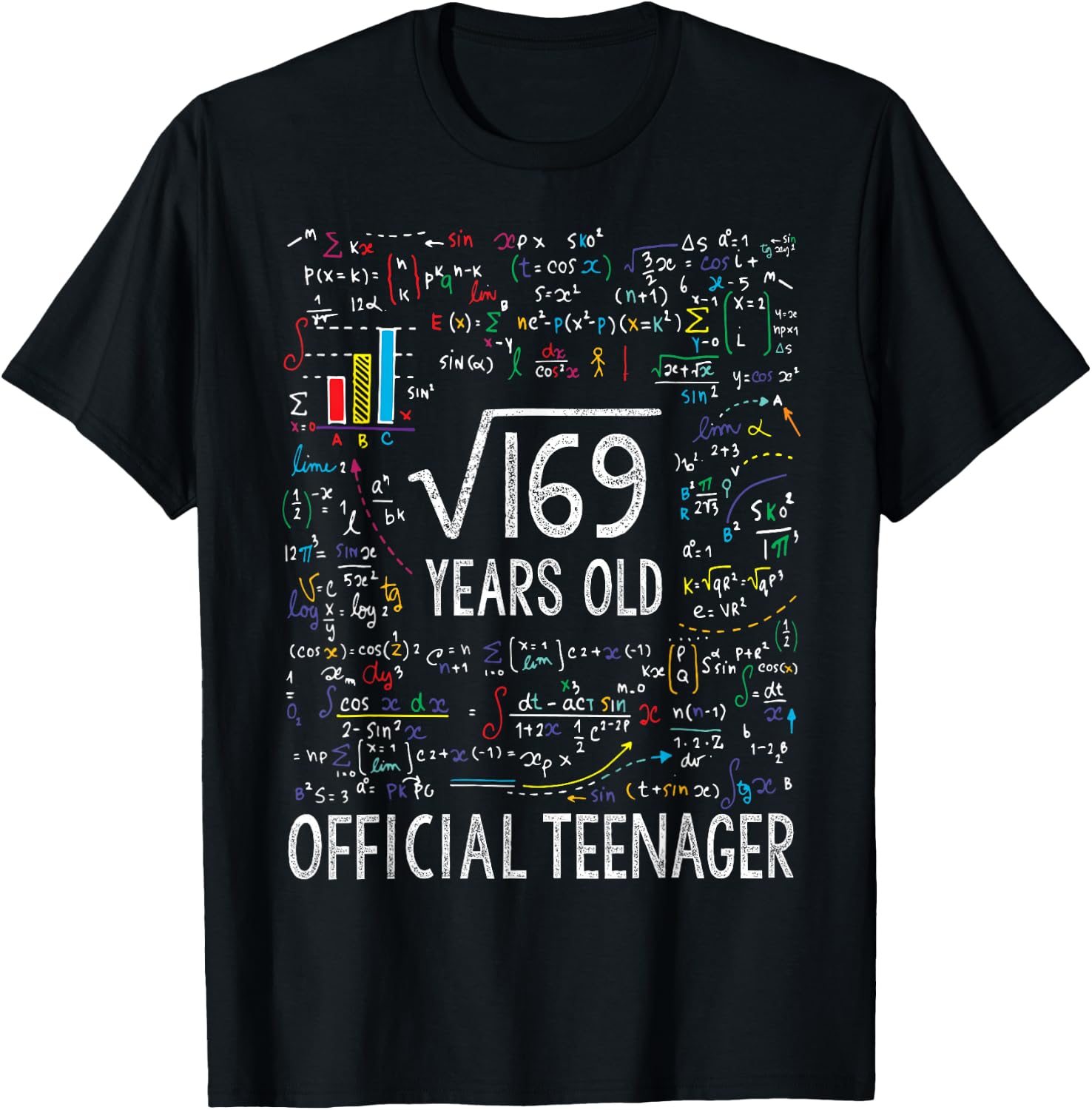 Square Root of 169 13 Years Old Official Teenager Birthday T-Shirt - T-Shirt | Black