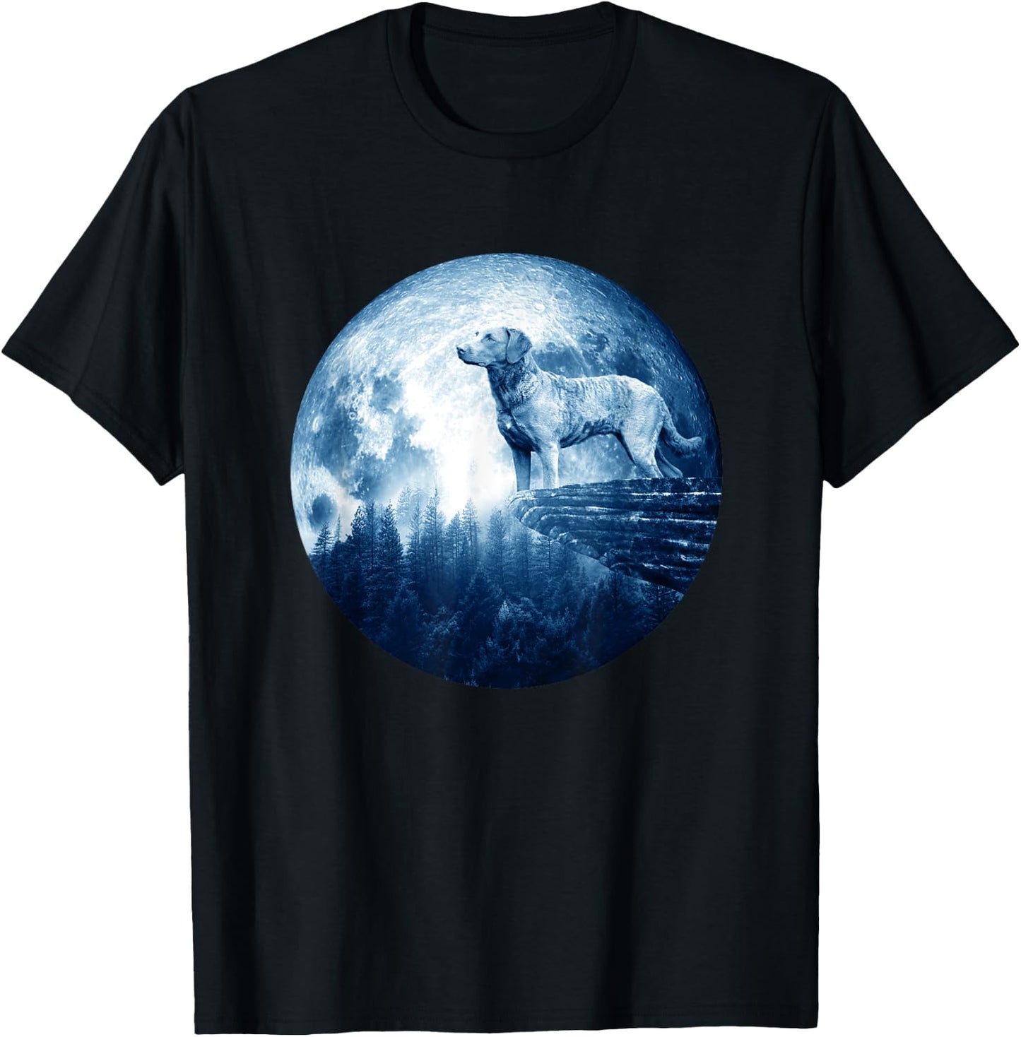 Chesapeake Bay Retriever Dog Moon Dog Mom Dad Dog Lovers T-Shirt - T-Shirt | Black