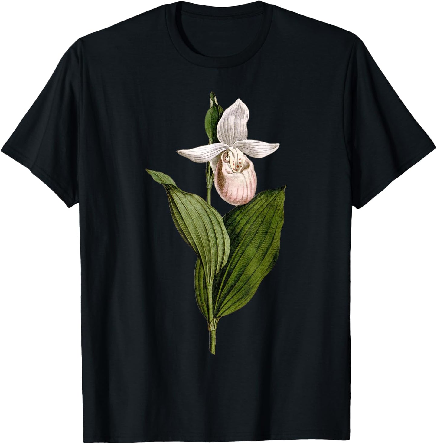 Minnesota Flower State of Minnesota showy lady's slipper T-Shirt - T-Shirt | Black
