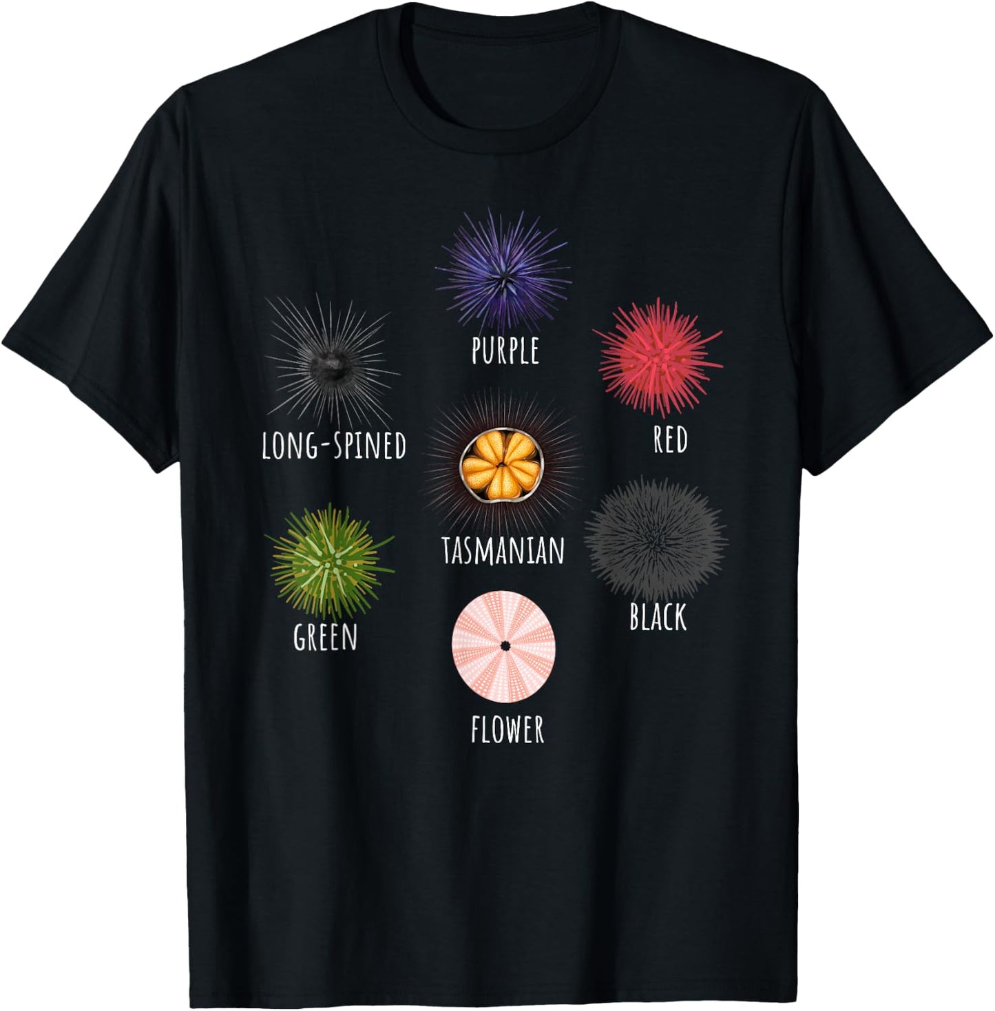 Type Of Sea Urchin Variants Sea Shell Beach Ocean Lovers T-Shirt - T-Shirt | Black