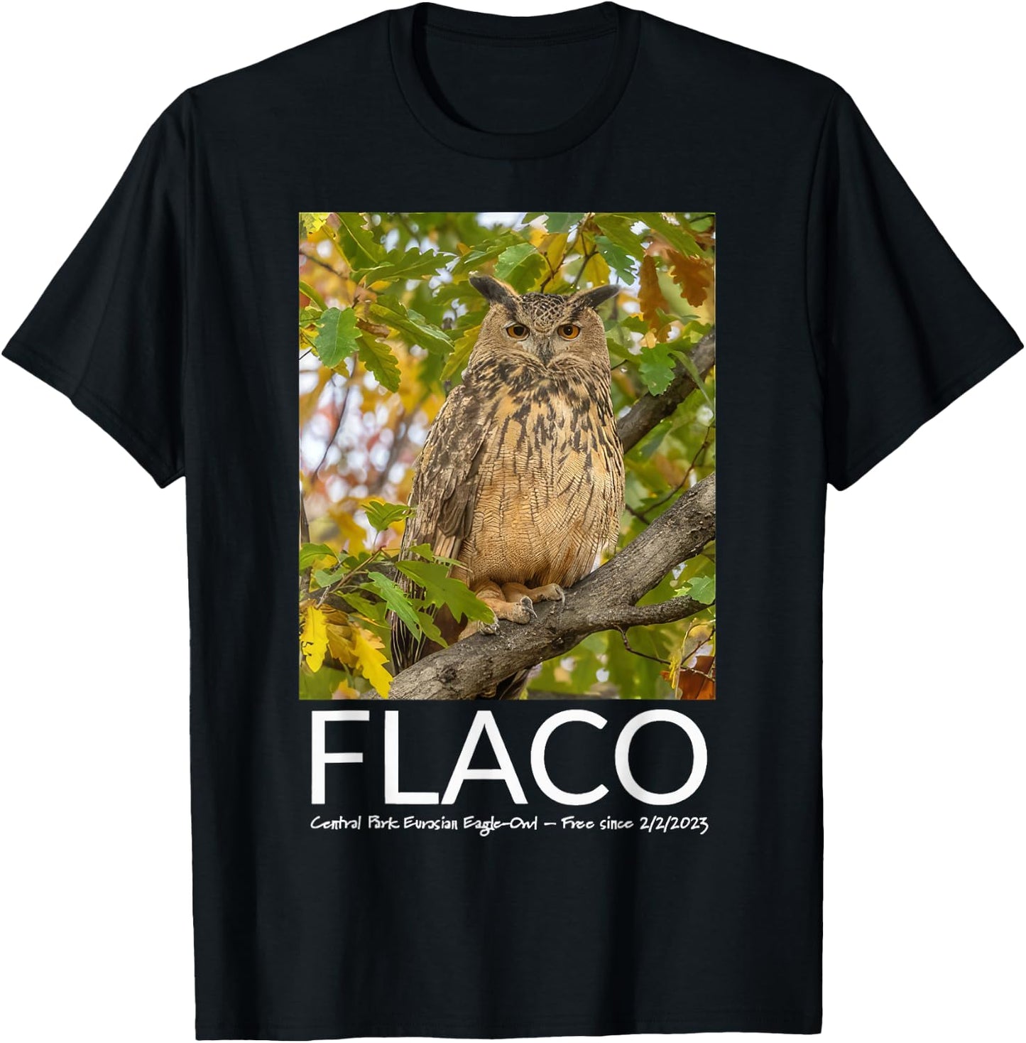 Flaco the Owl Escaped Owl T-Shirt - T-Shirt | Black