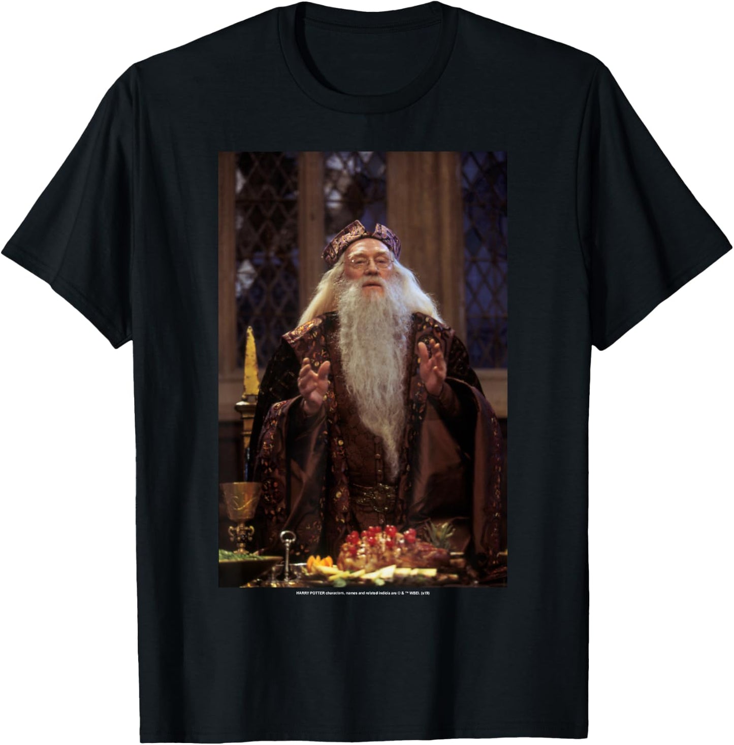 Harry Potter Professor Dumbledore Poster T-Shirt - T-Shirt | Black