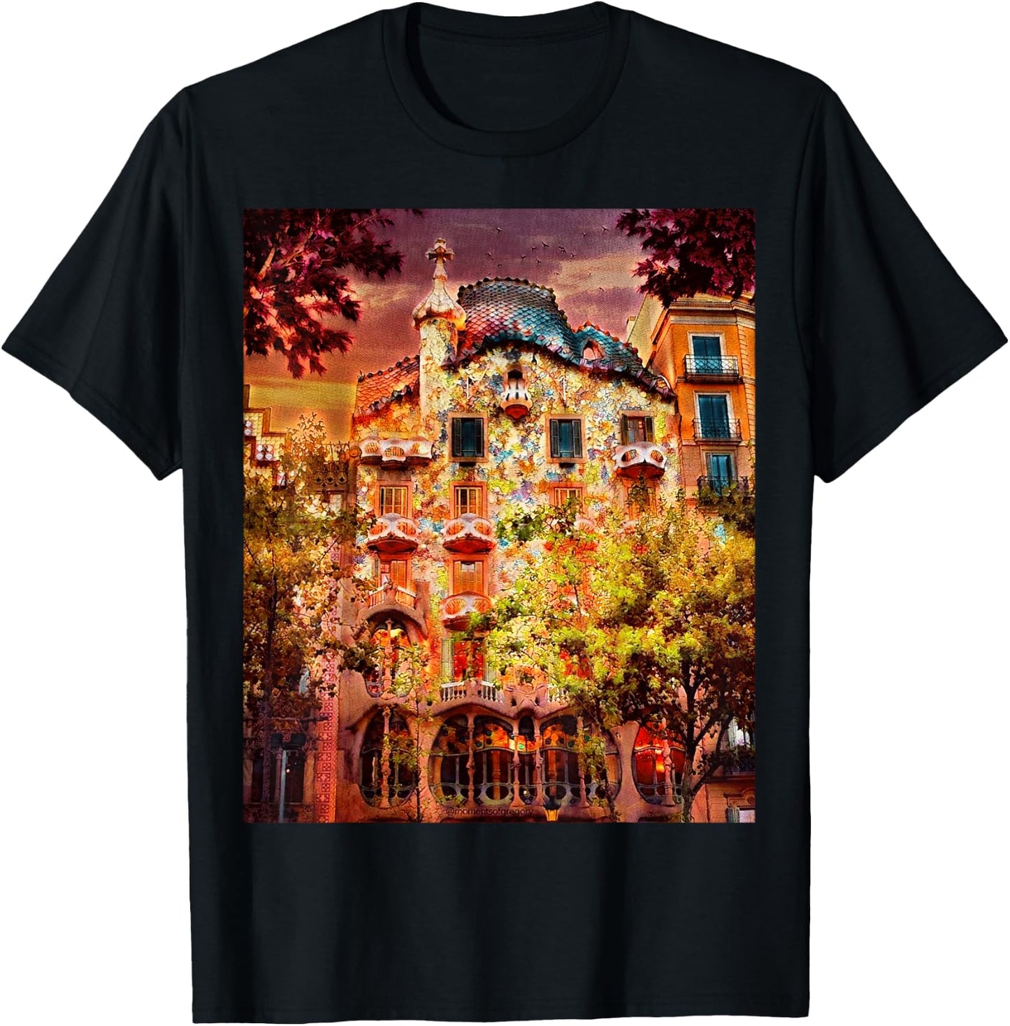 Casa Battlo - Barcelona, Spain T-Shirt - T-Shirt | Black